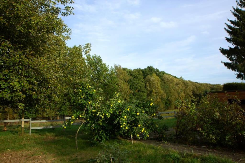 Ferienwohnung Hirschgrundblick