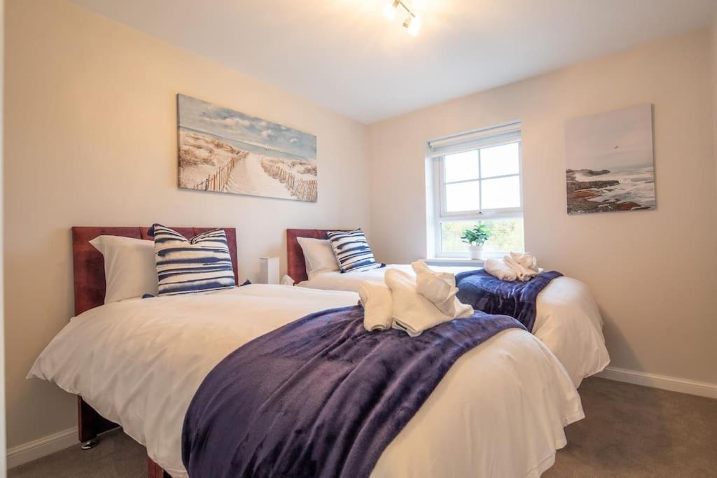 Beautiful & Luxurious Home - Free Parking, Wi-Fi view 4
