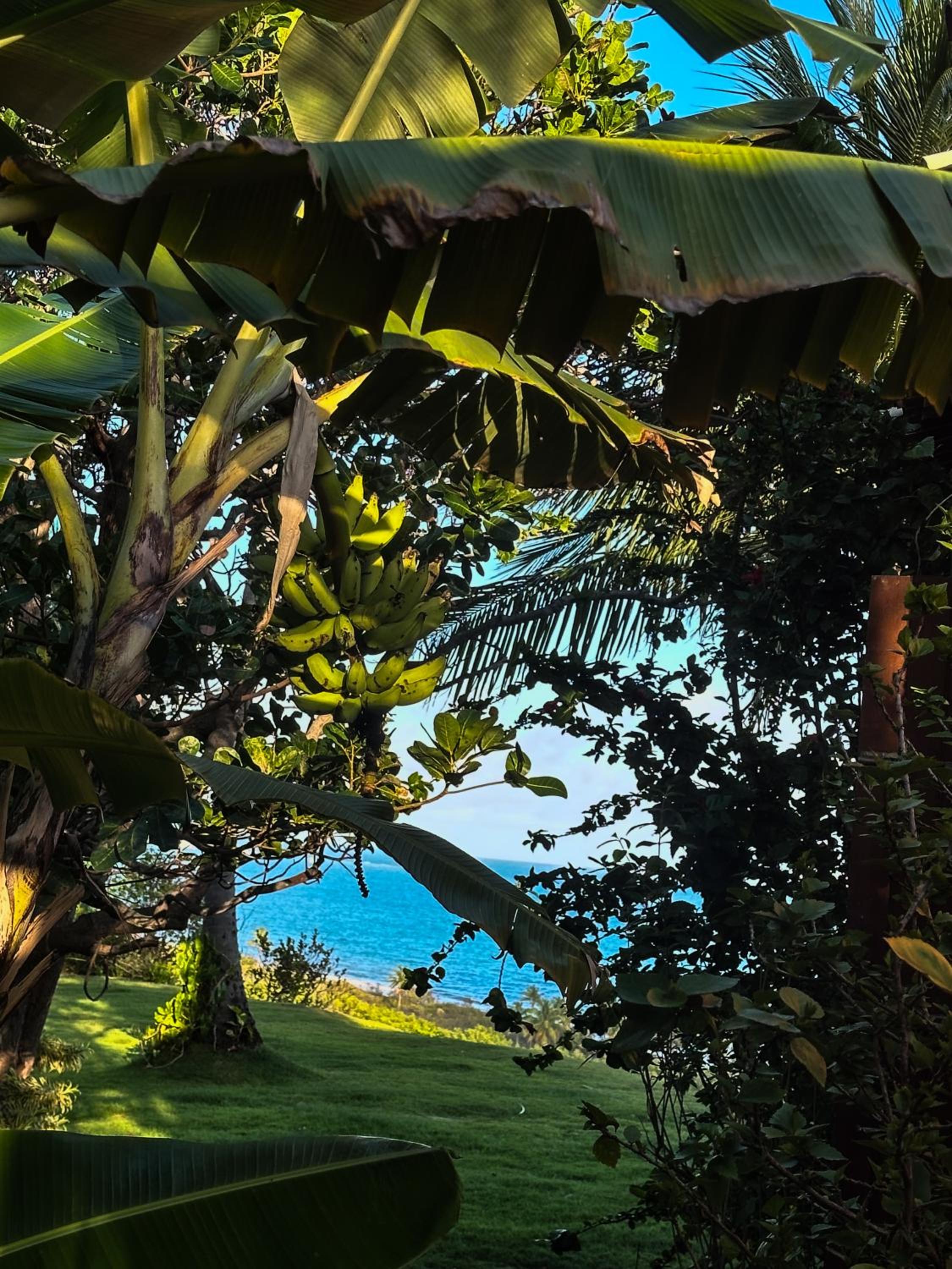 Spa da Alma I Coruripe I Nordeste I Brasil