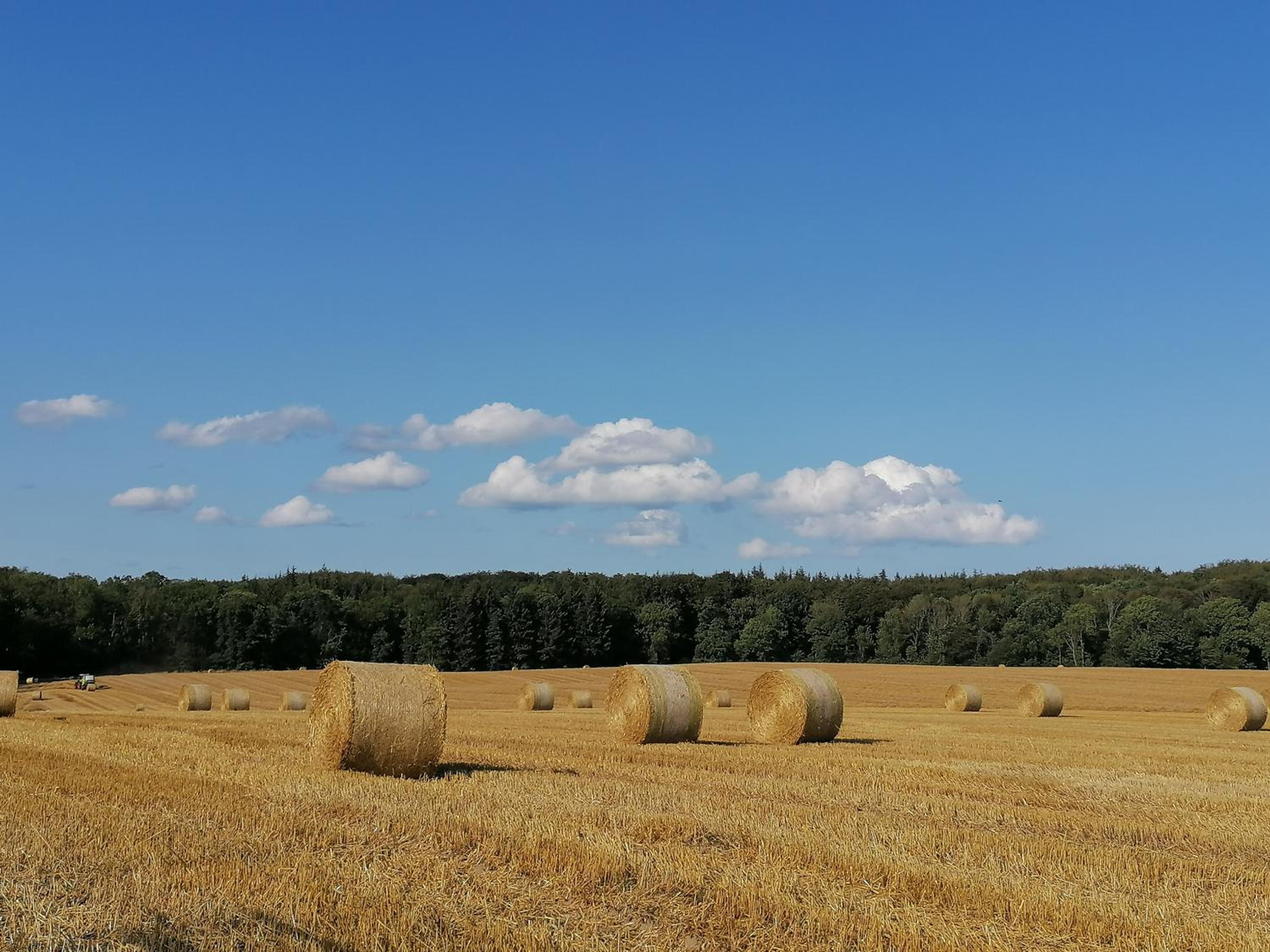 Ferienwohnung Fernblick