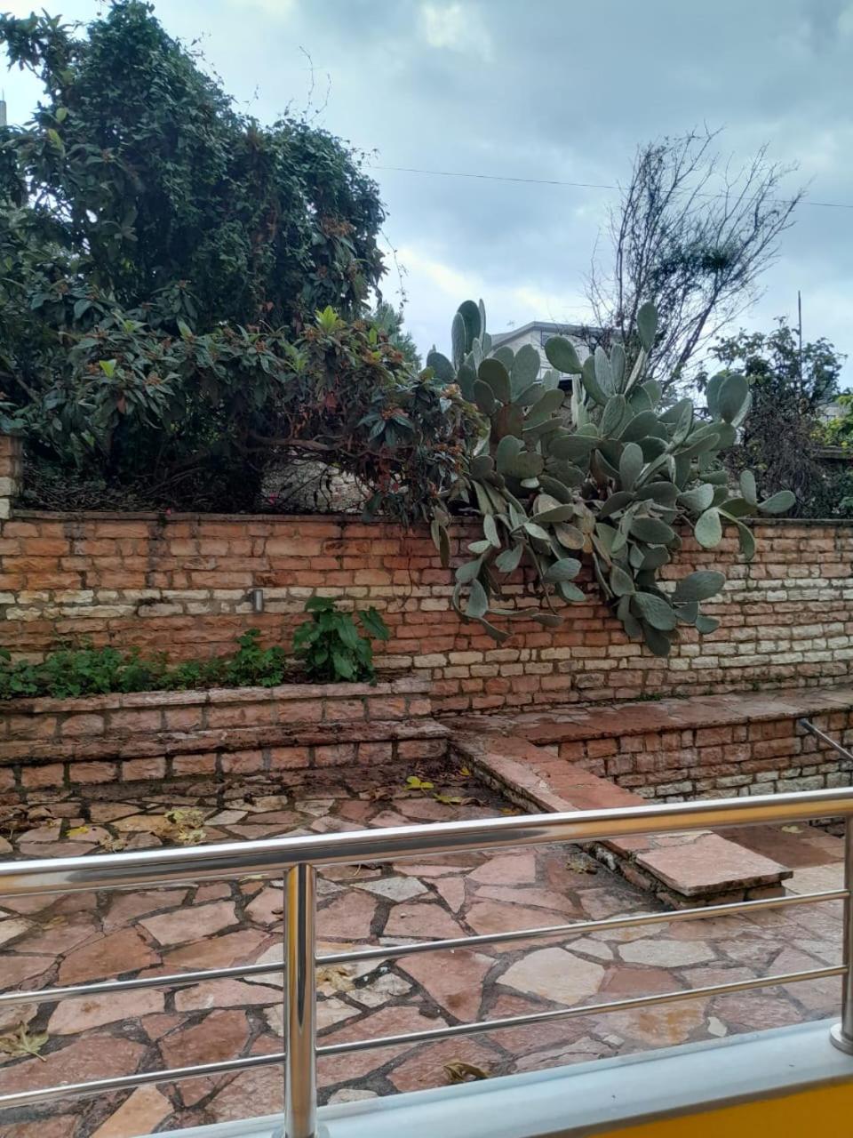Vila Lida