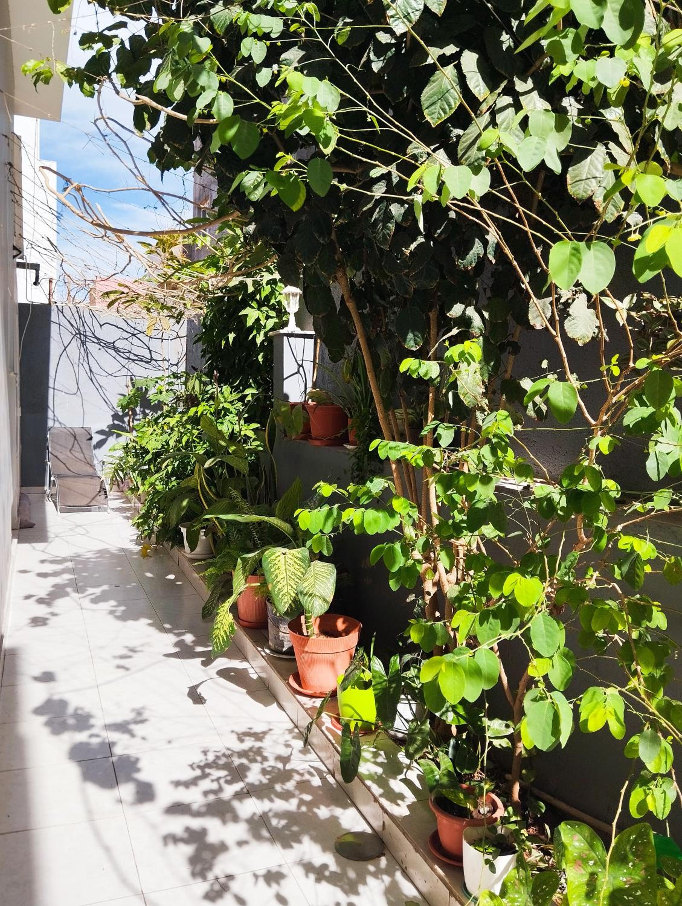 Residencia BB