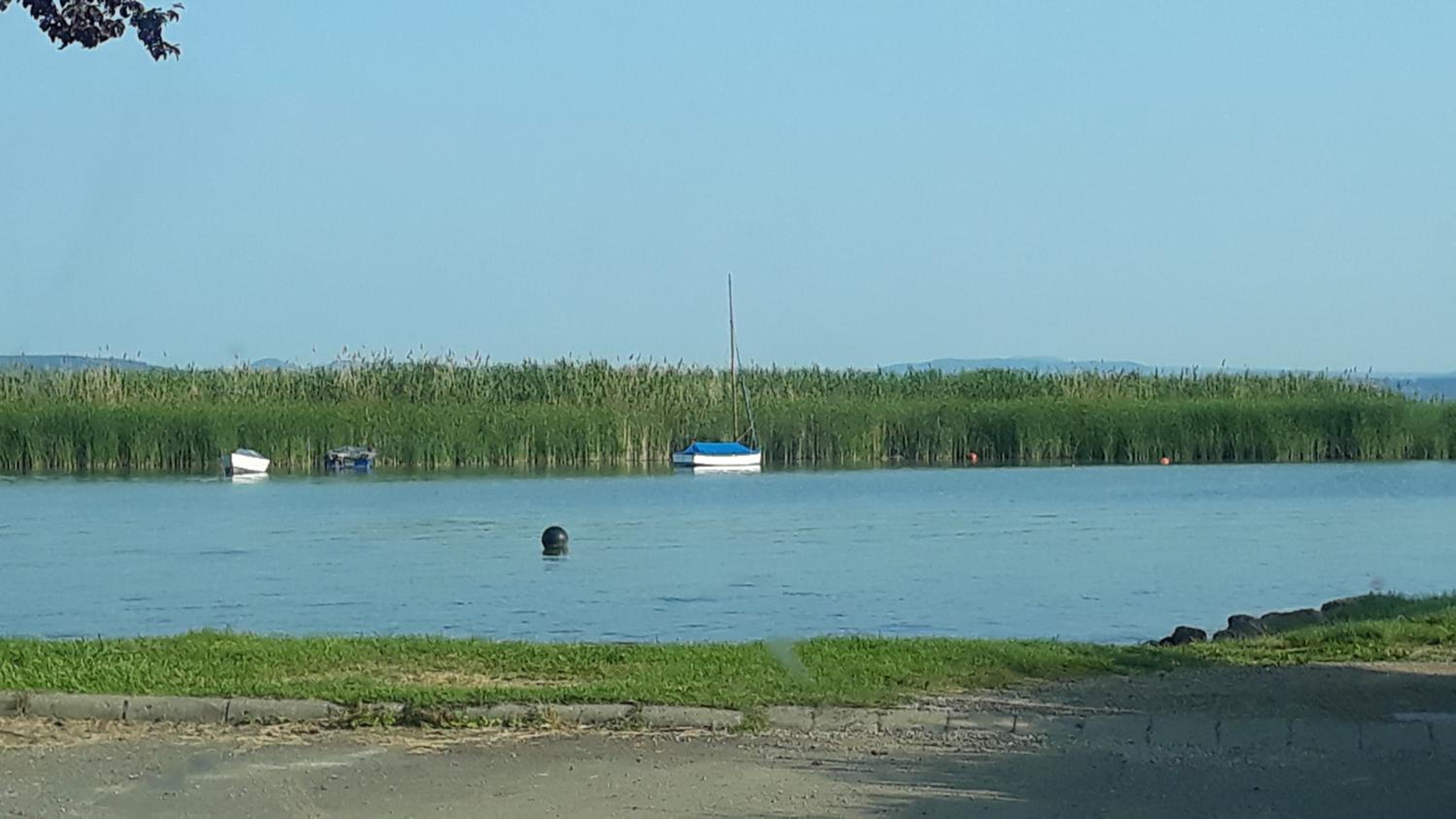 Photo 44