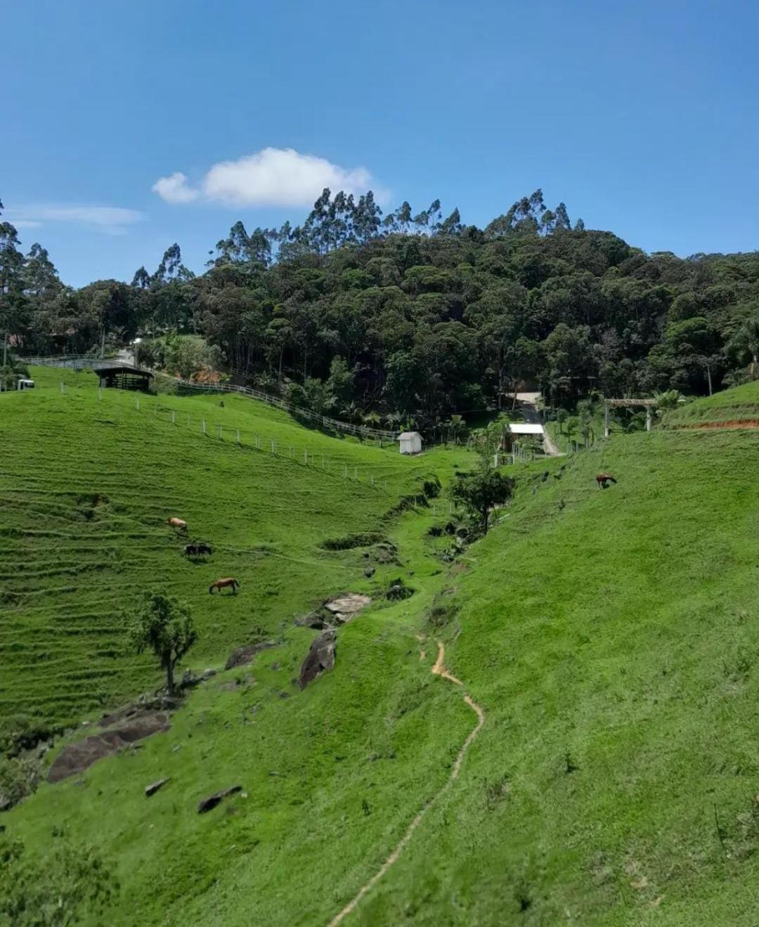 Casa de Campo Rio Miguel