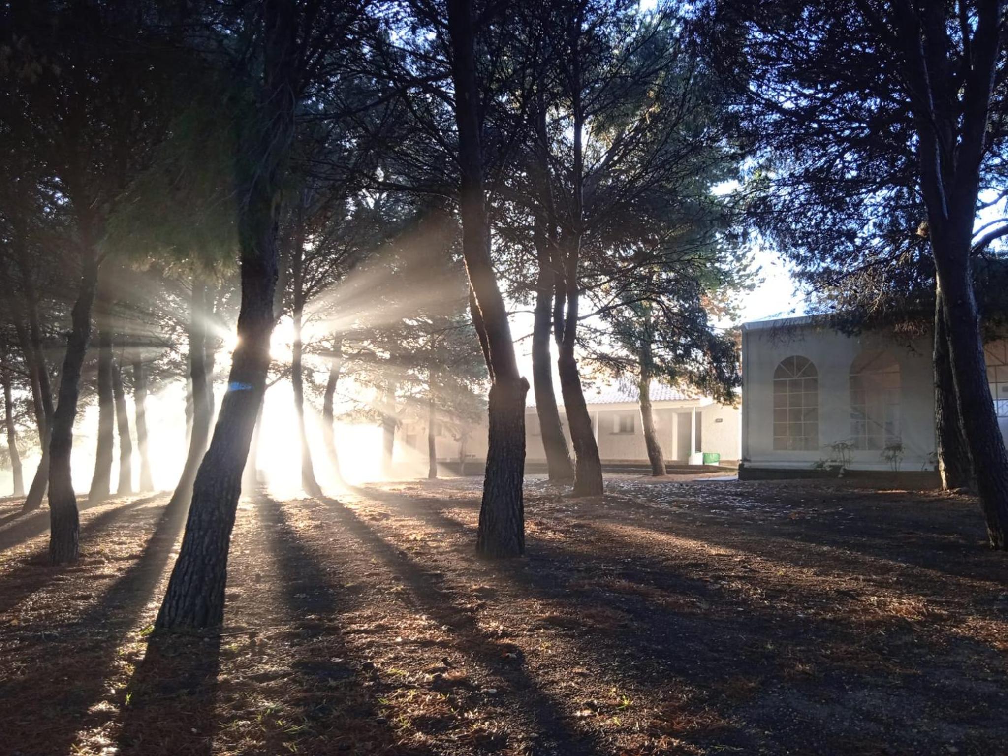 Albergue Zaragoza Camping