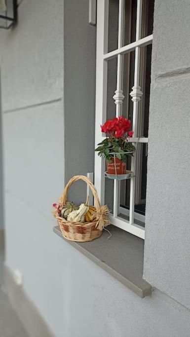 Photo 38