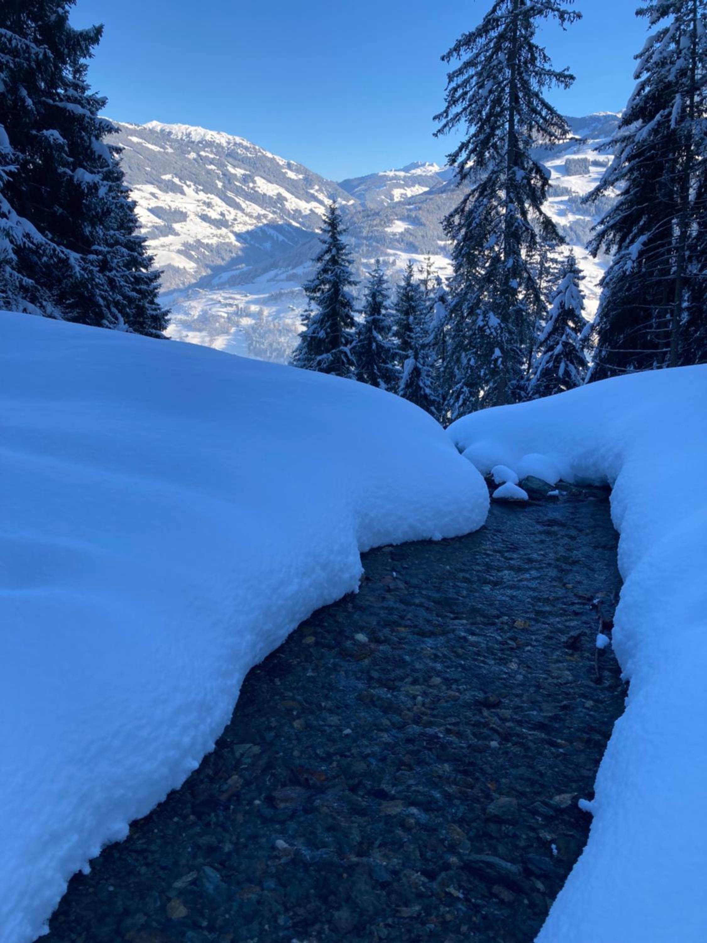 Goass'n Alm Zillertal