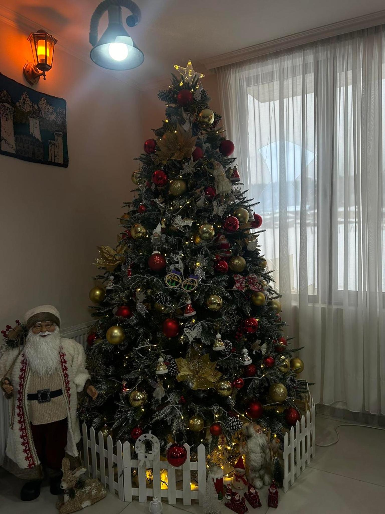 Photo 59
