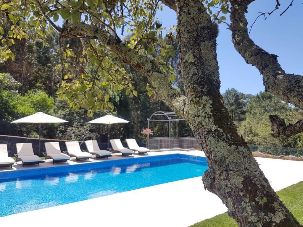 Amazing Viana Do Castelo Villa 6 Bedrooms Villa Castello Private Pool view 5