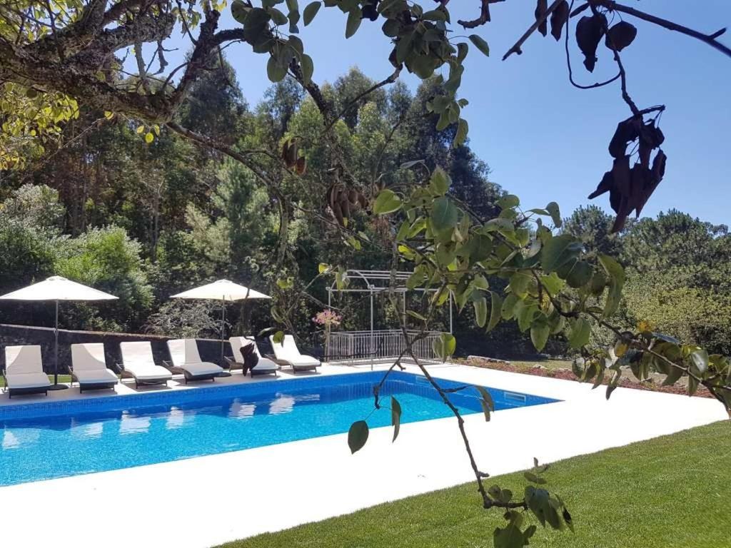 Amazing Viana Do Castelo Villa 6 Bedrooms Villa Castello Private Pool view 2