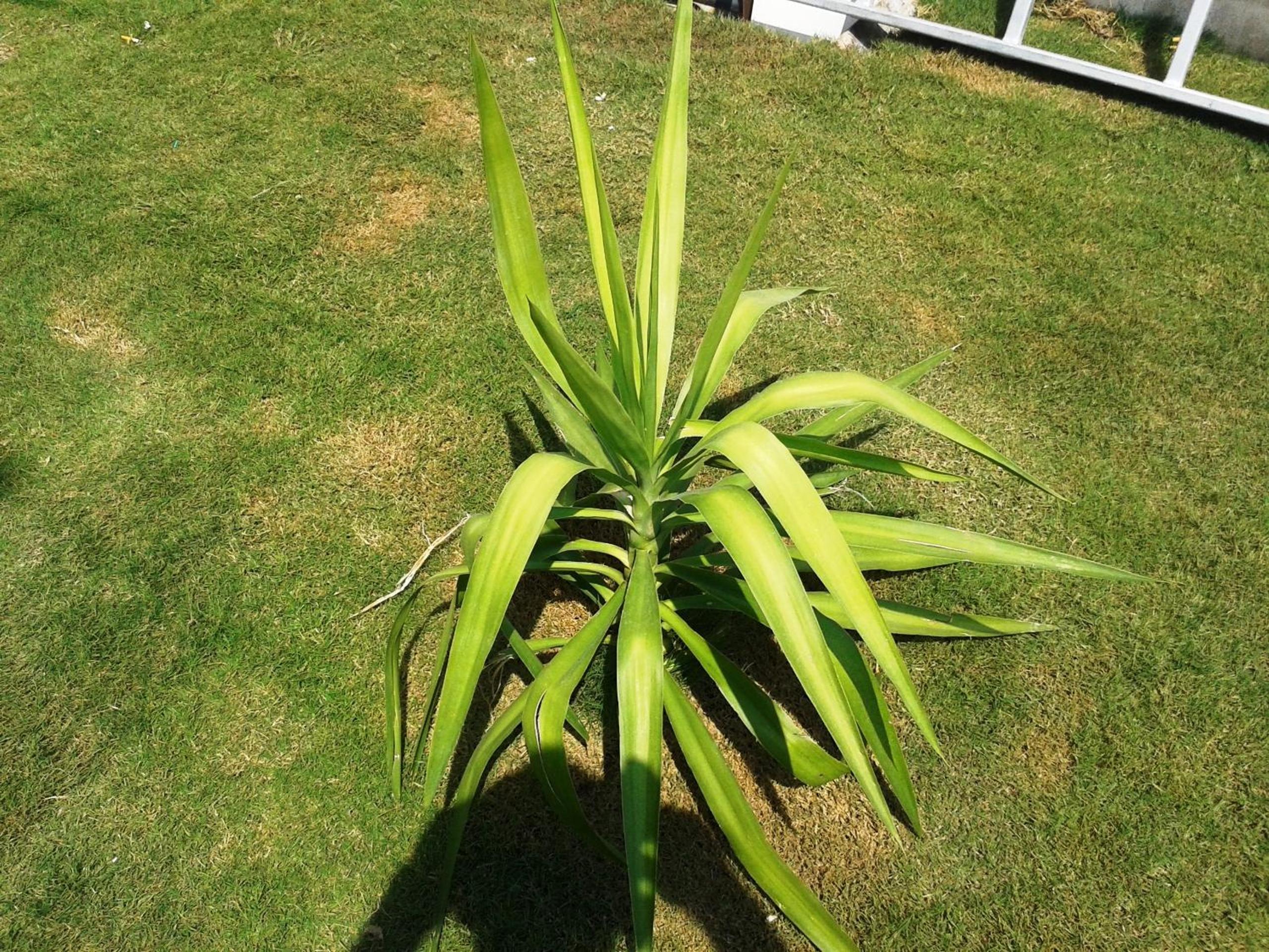 Lighthouse Nadia Apartlar - Image 51