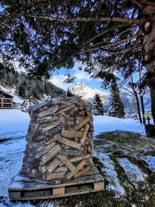 Cosy Chalet 87 in Engelberg with spectacular mountain and lake Views