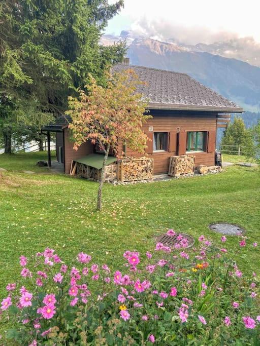 Cosy Chalet 87 in Engelberg with spectacular mountain and lake Views