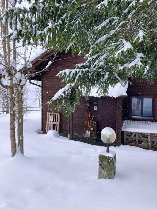 Cosy Chalet 87 in Engelberg with spectacular mountain and lake Views