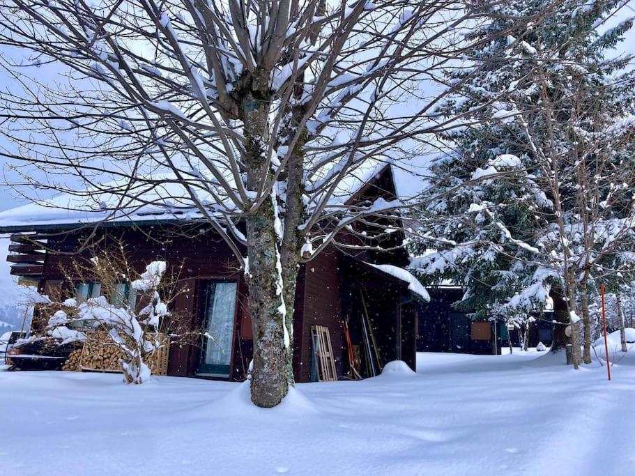 Cosy Chalet 87 in Engelberg with spectacular mountain and lake Views