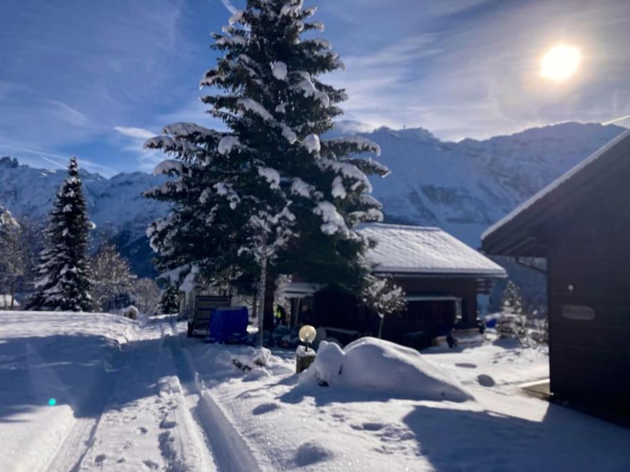Cosy Chalet 87 in Engelberg with spectacular mountain and lake Views