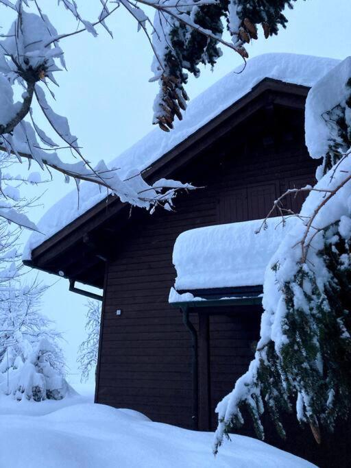 Cosy Chalet 87 in Engelberg with spectacular mountain and lake Views
