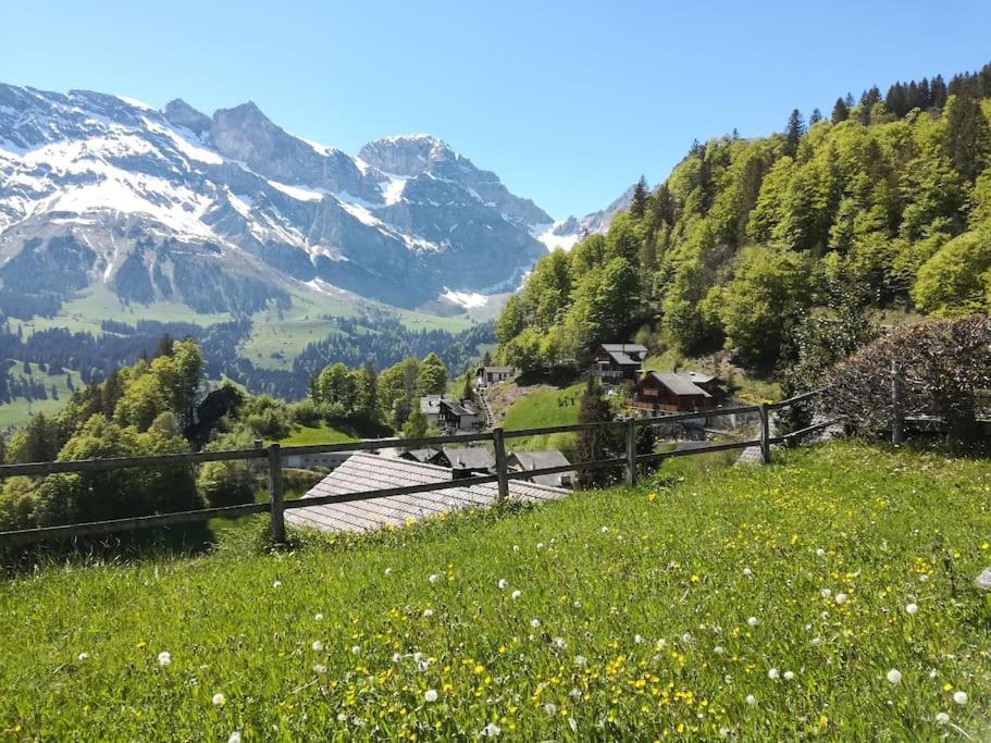 Cosy Chalet 87 in Engelberg with spectacular mountain and lake Views
