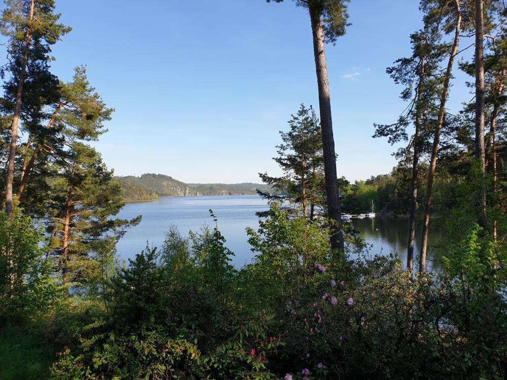 Vilas & Wellness Resort Orlík