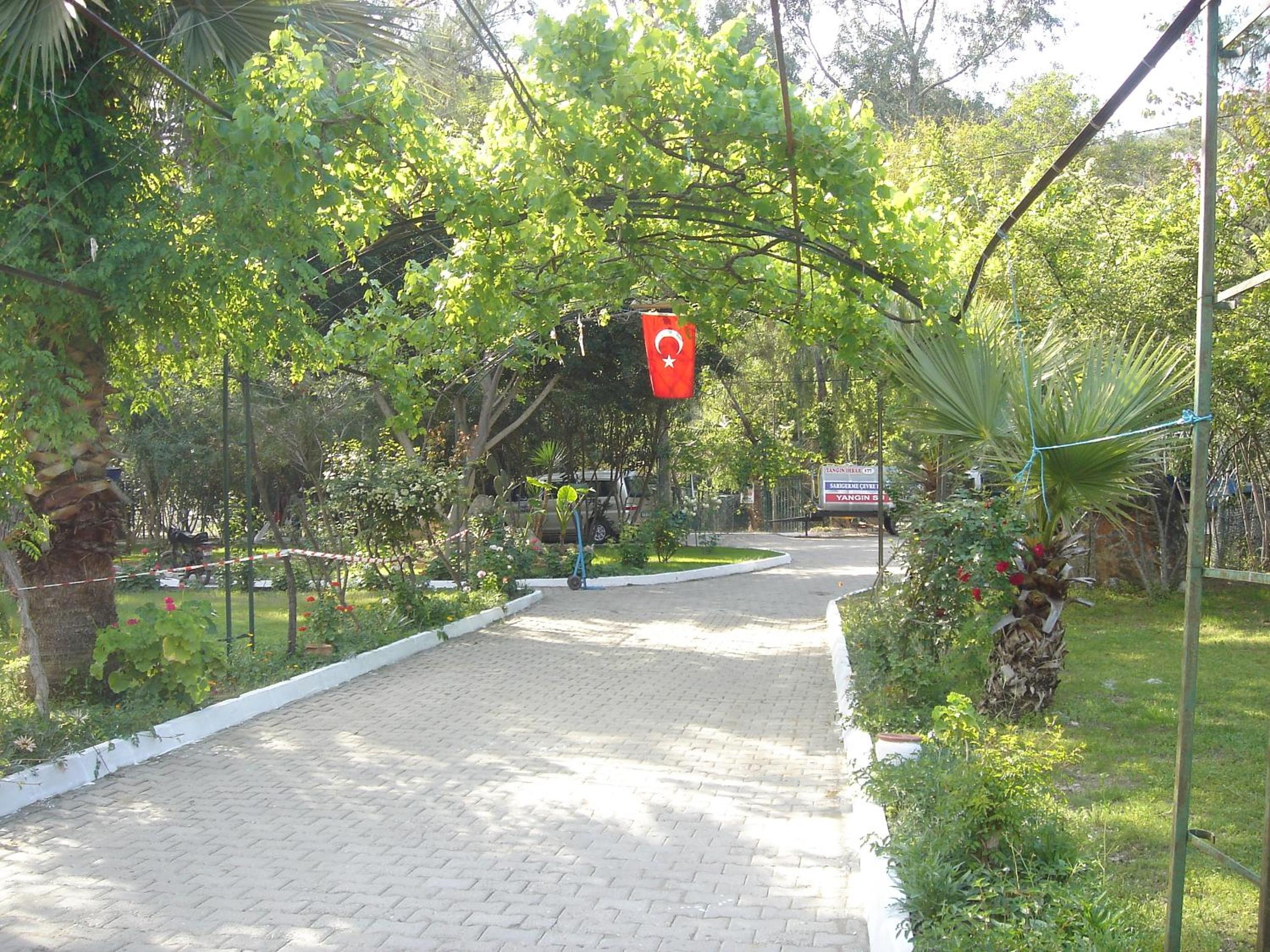 Photo 27