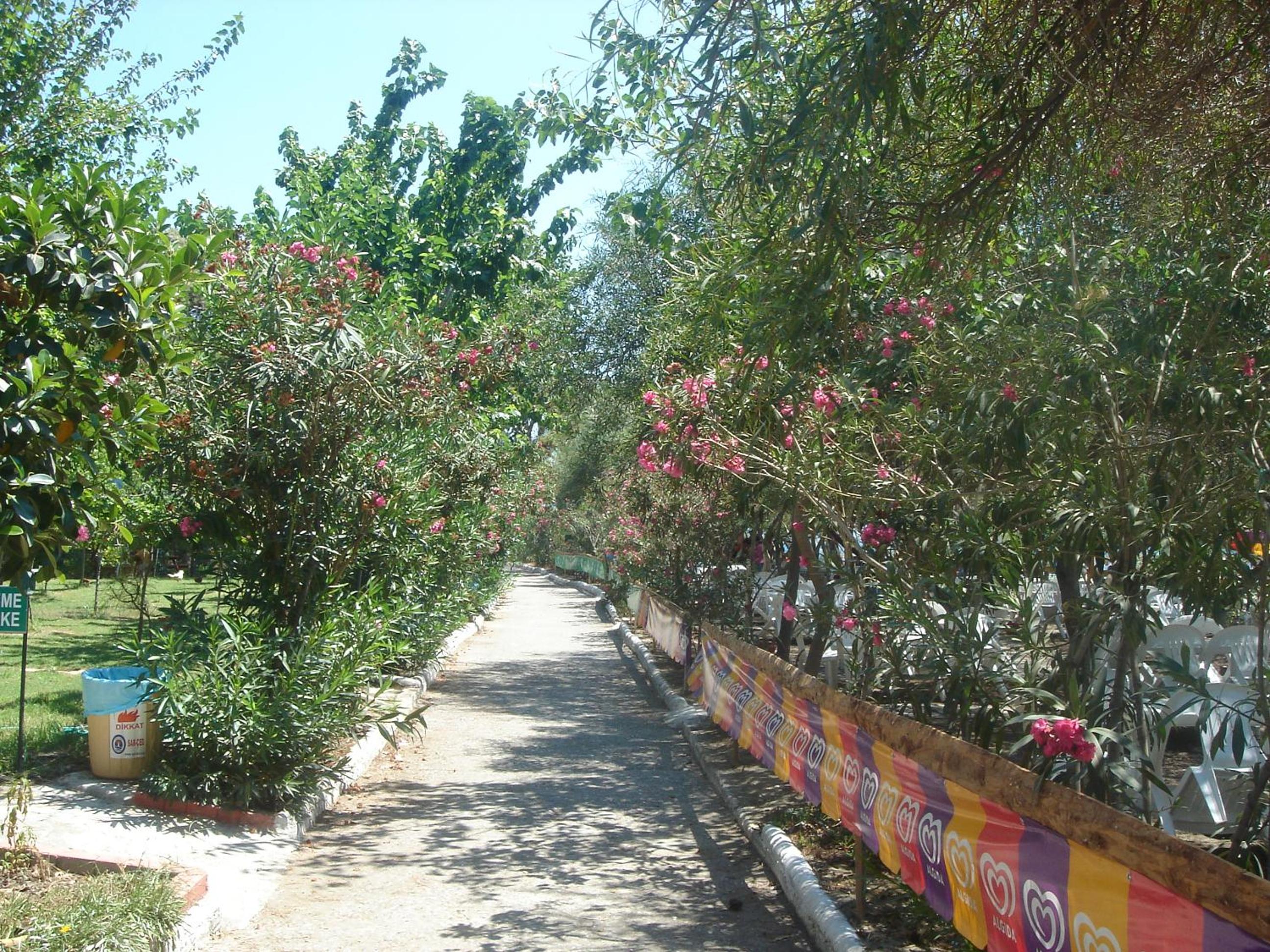Photo 29
