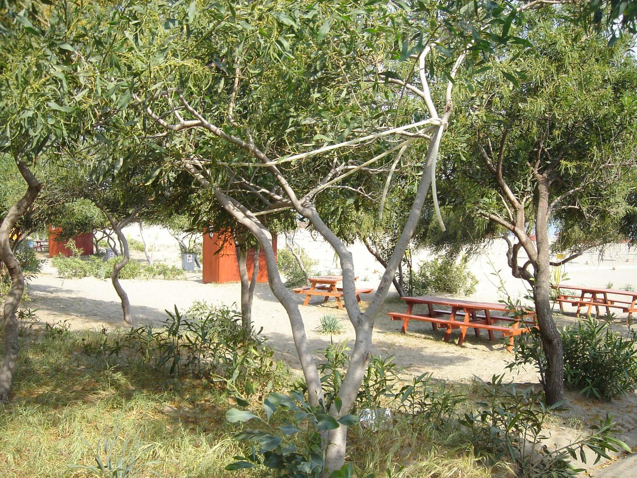 Photo 25