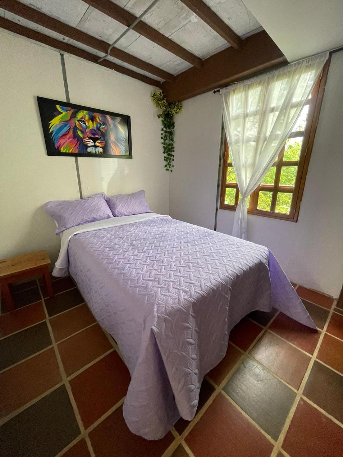 Xplora Hostel