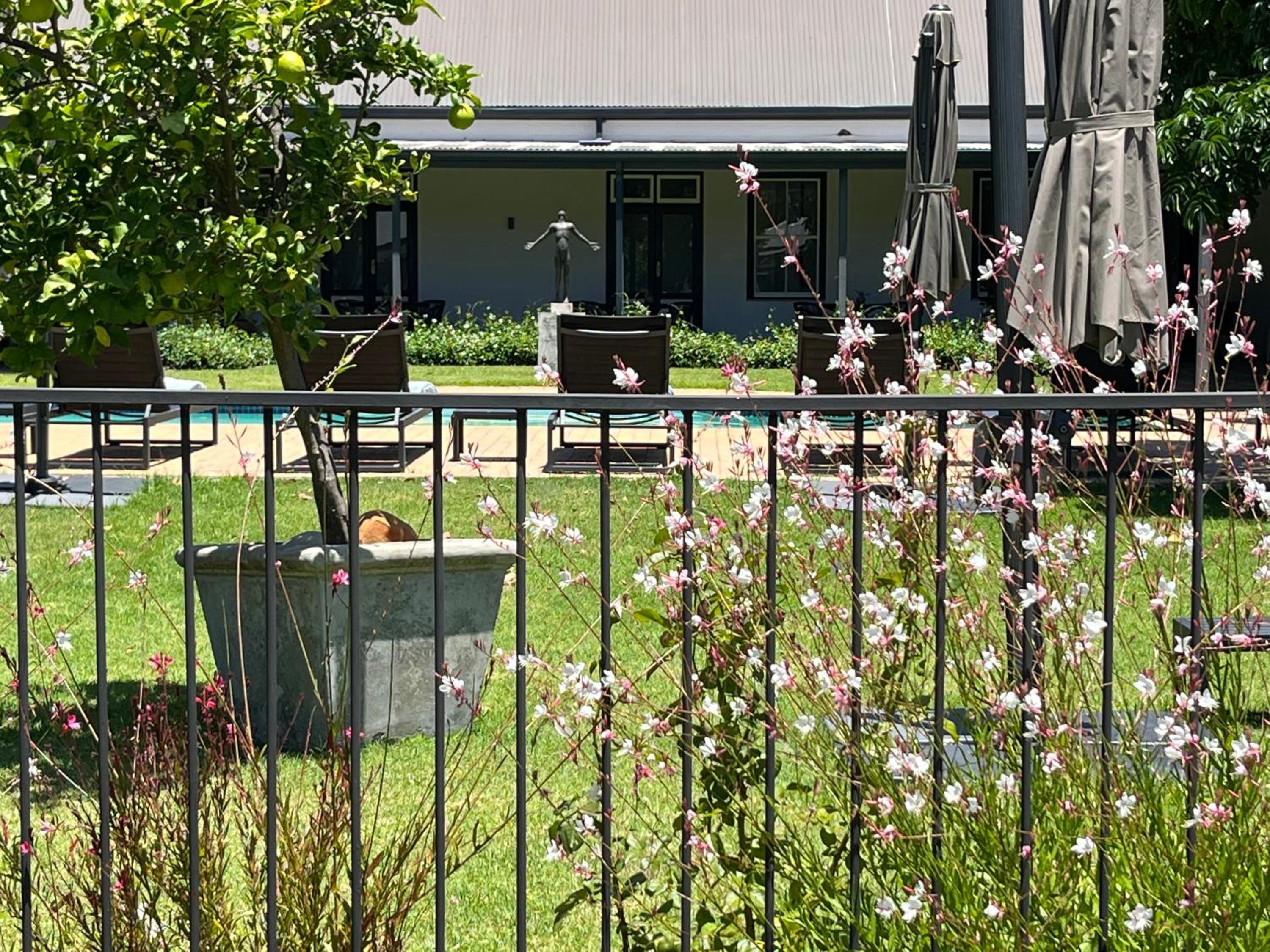 Lynx Wine Estate