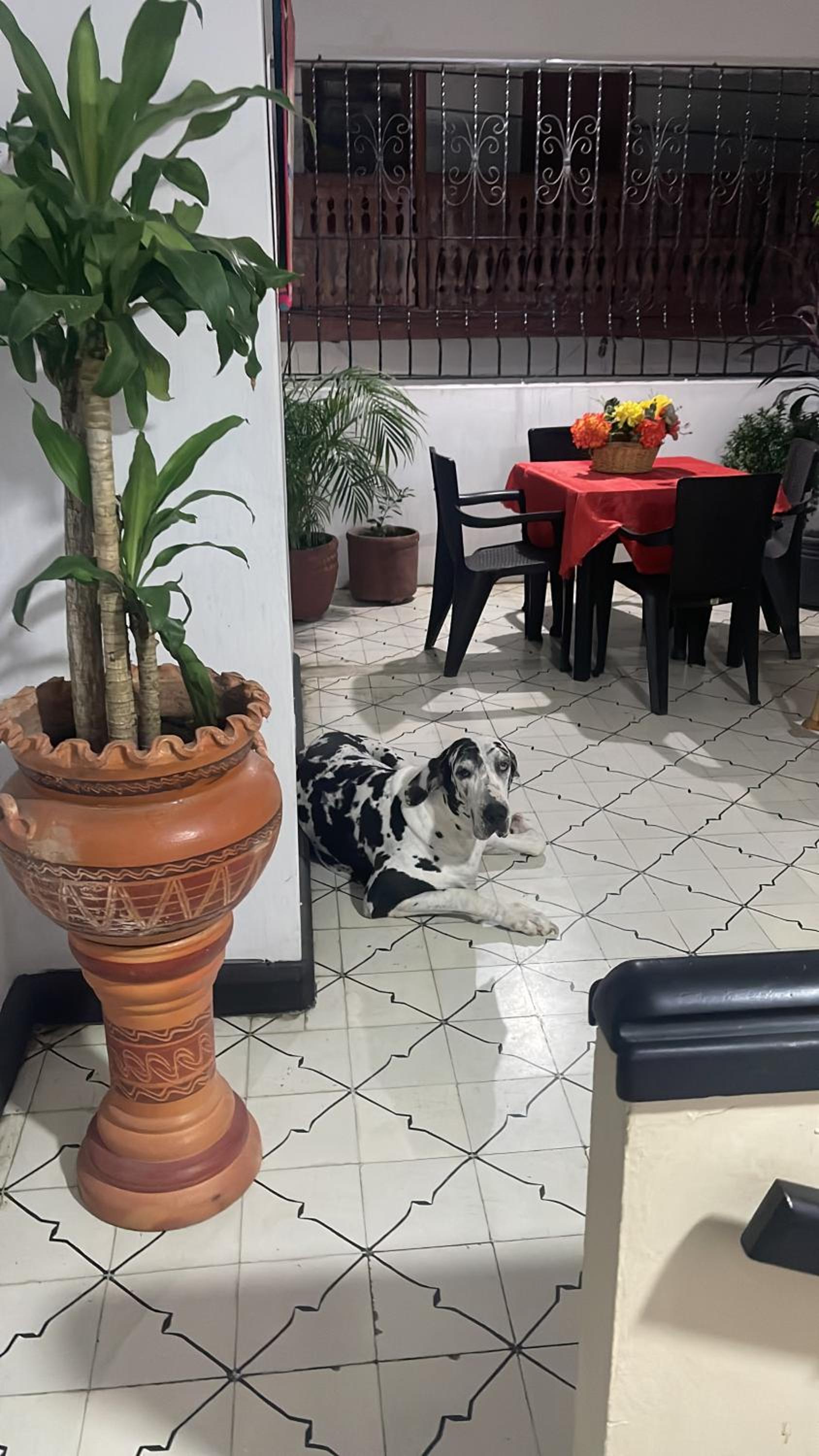 LA CASA DE LAS FLOREZ