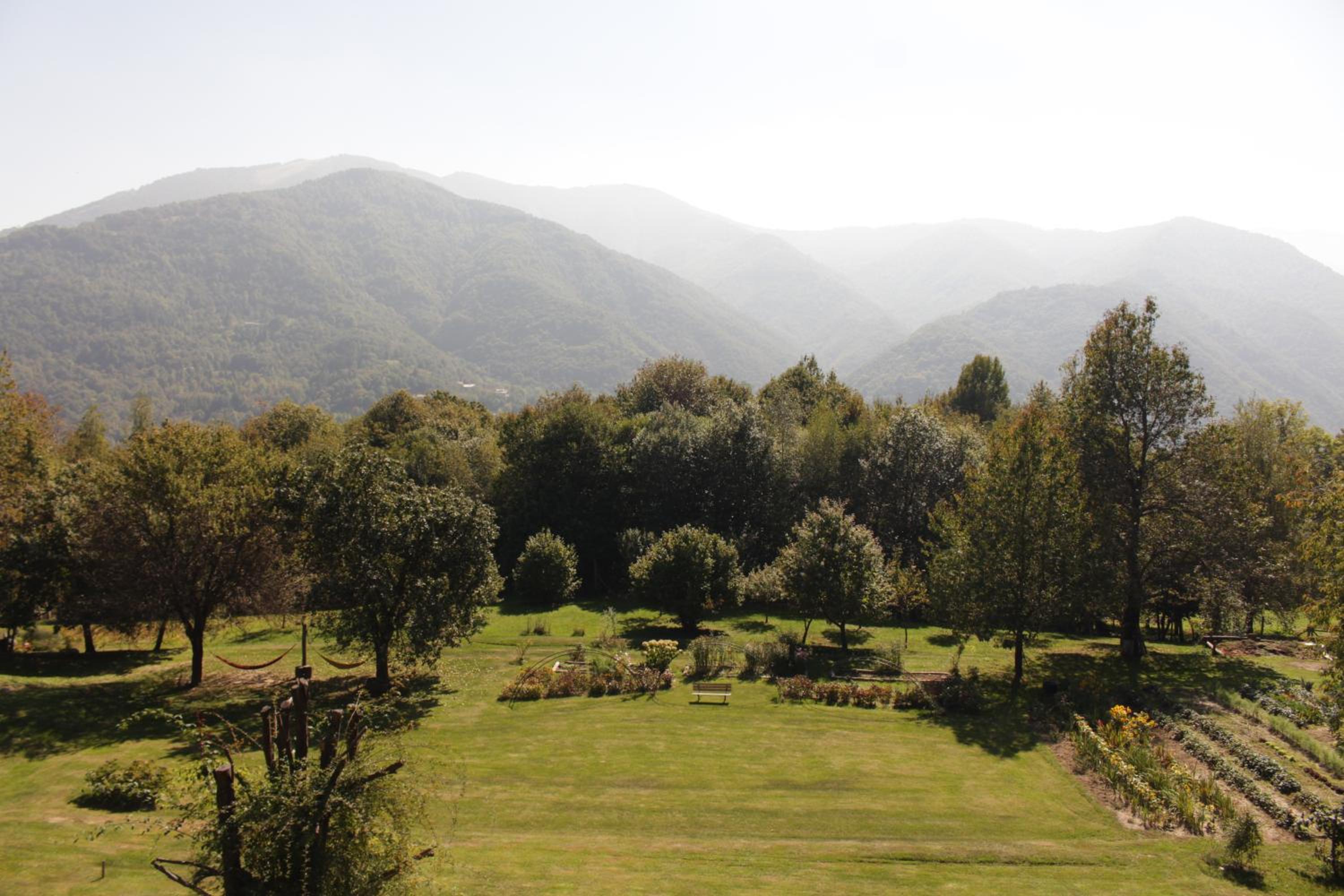 La quiete di Ileana Sofian
