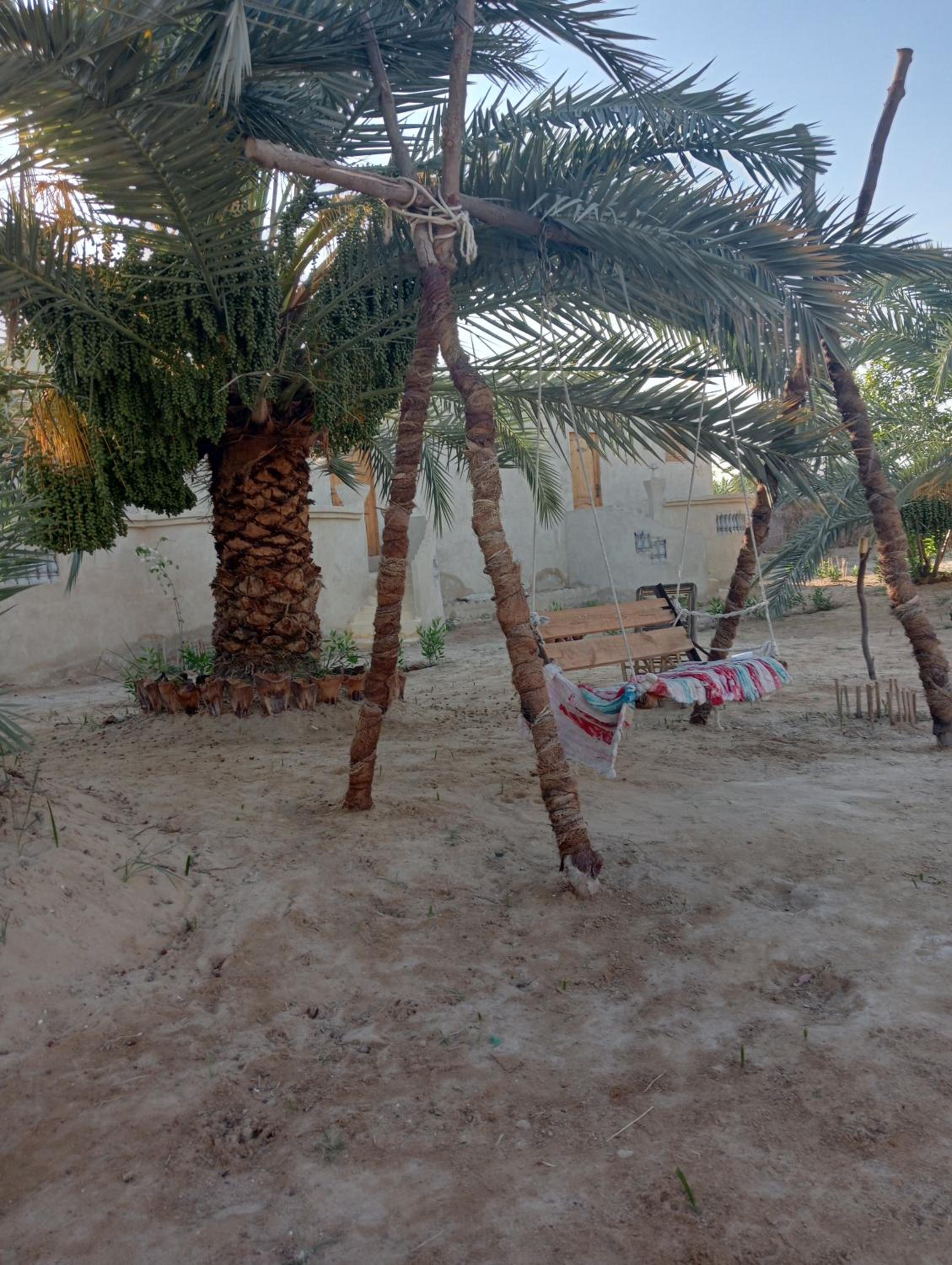 Siwa ajubar resort