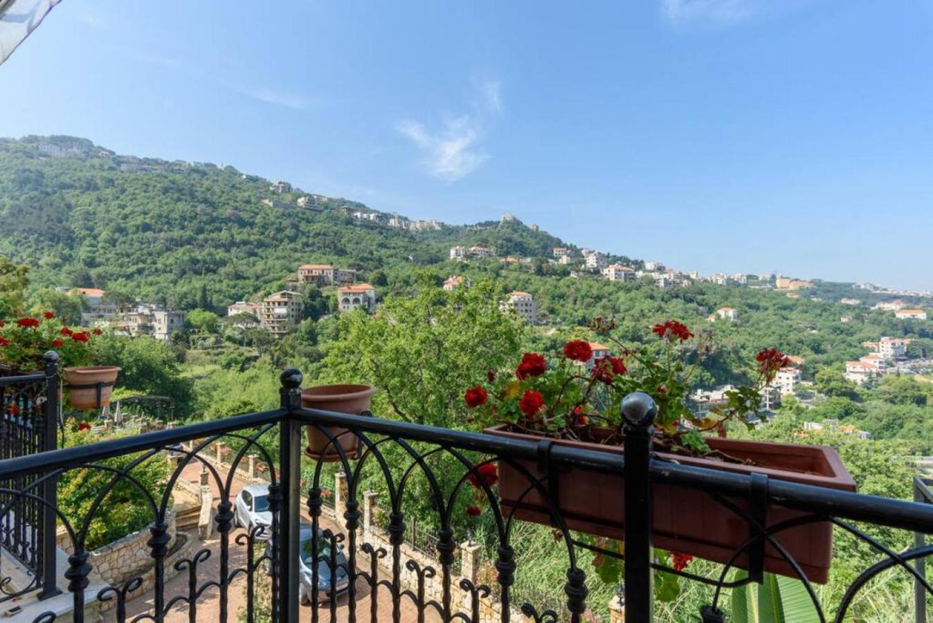 Authentic Villa with Pool and Garden in Beit Chabeb