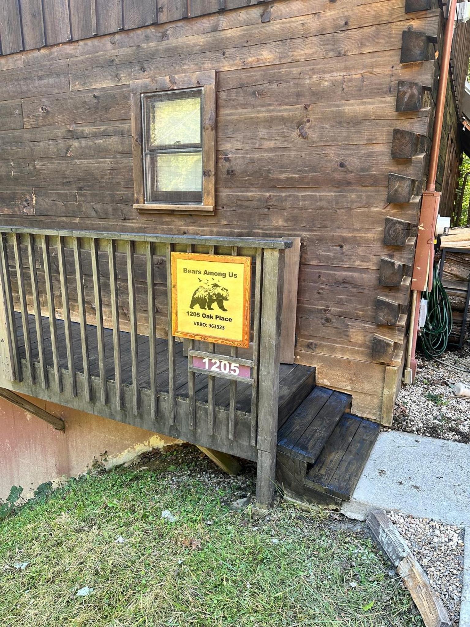 Bears Among Us view 4