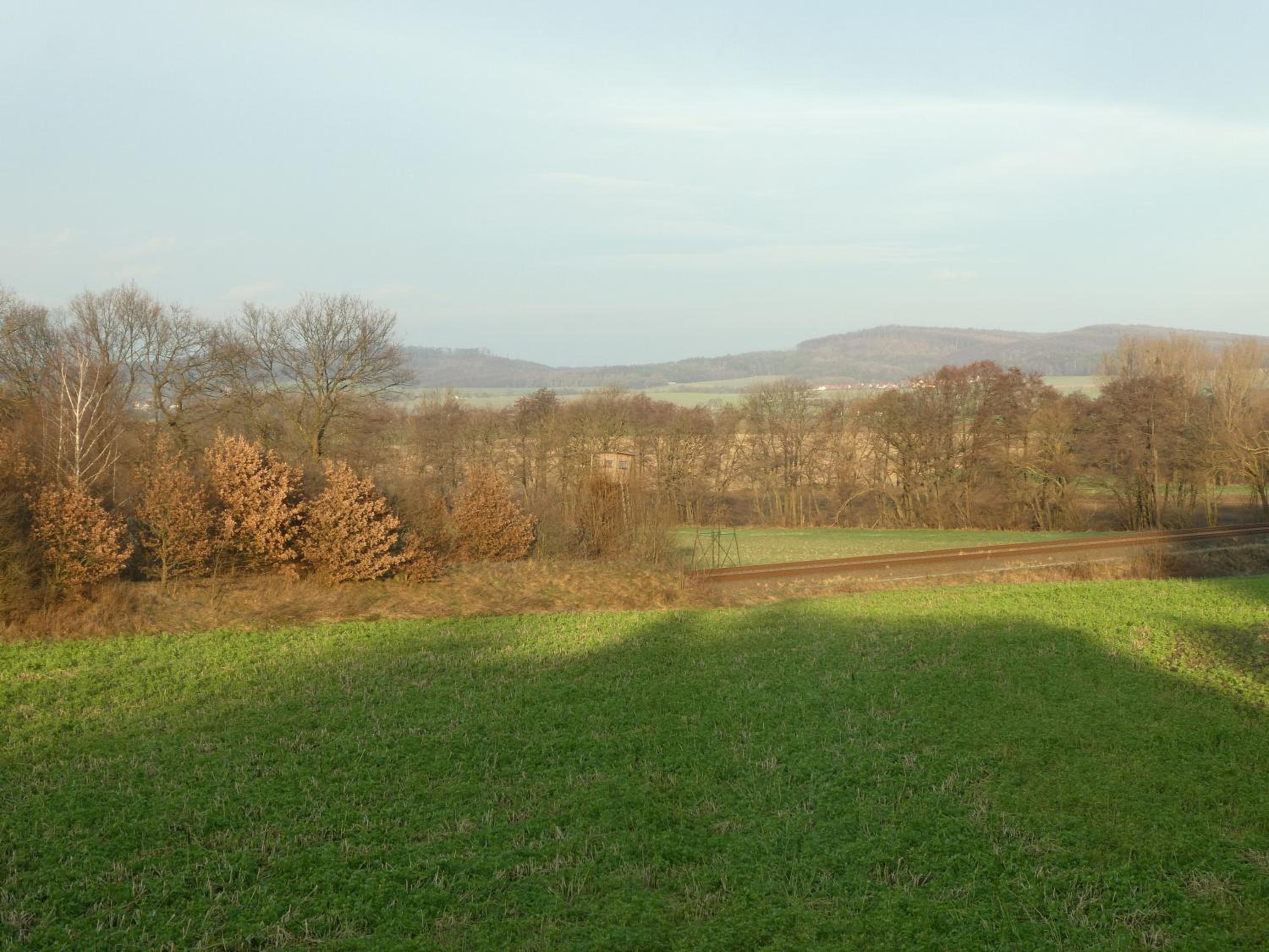 Ferienwohnung am Waldrand