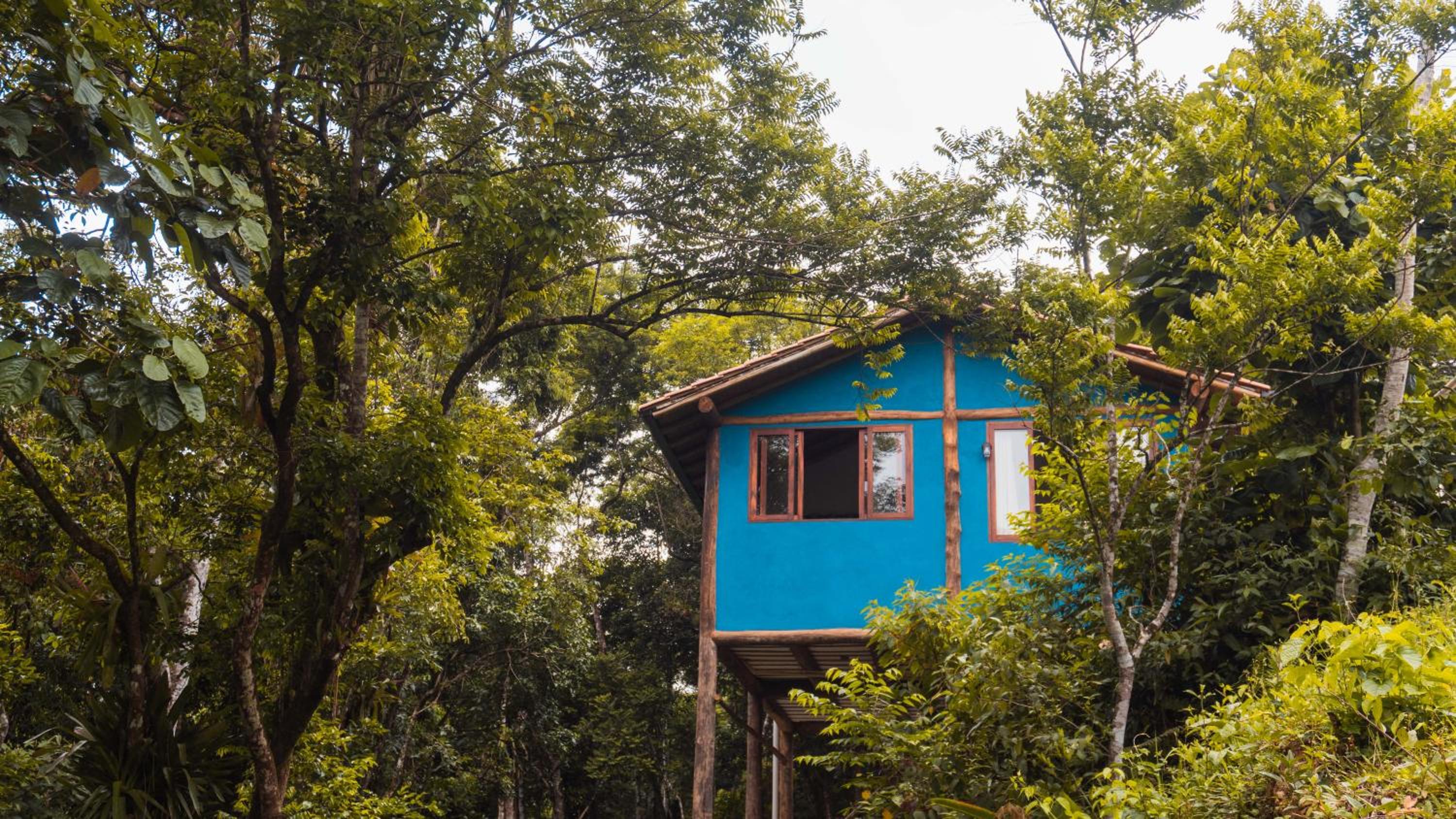 Ecocasa azul - Chalé na mata