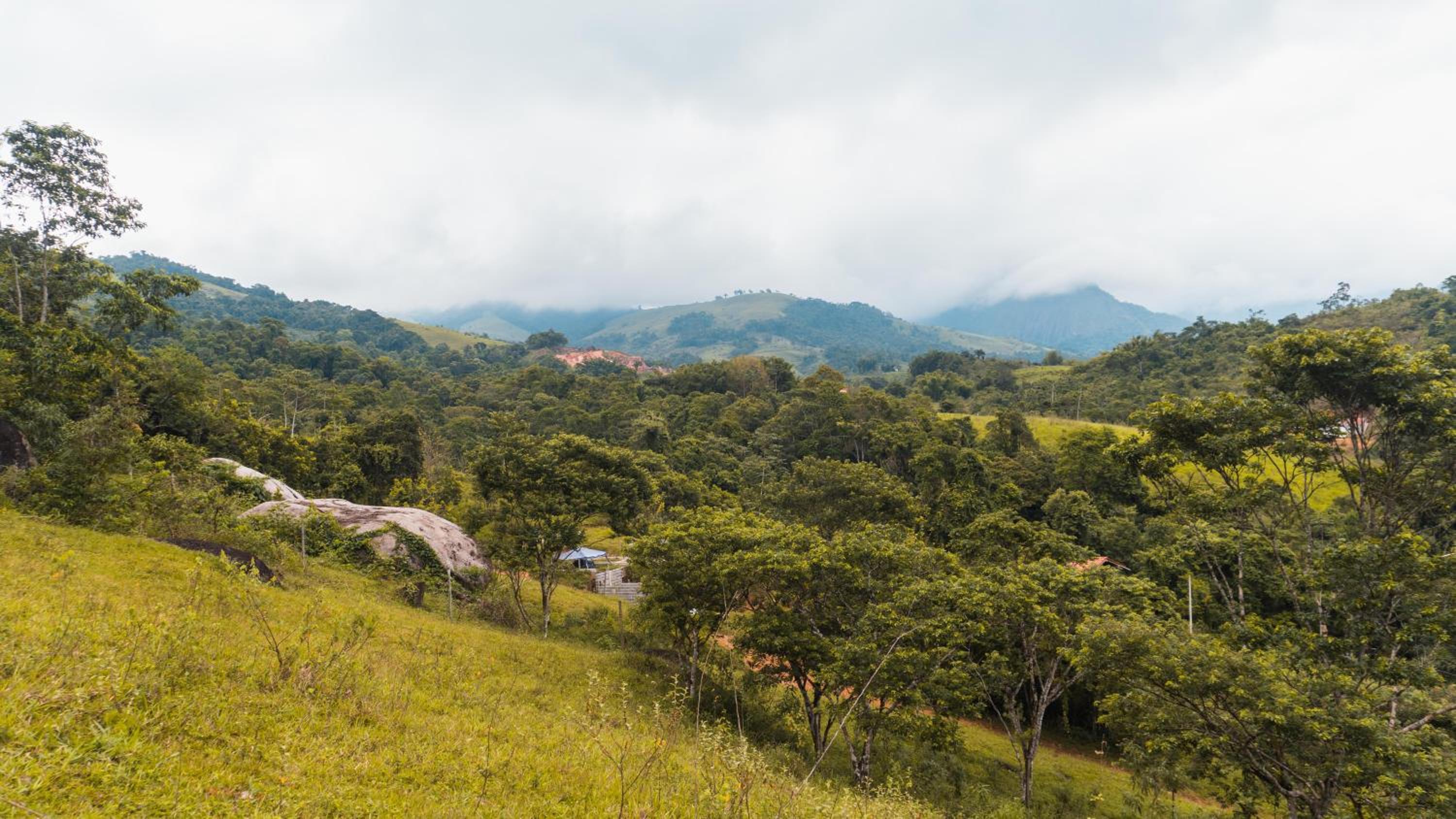 Ecocasa azul - Chalé na mata