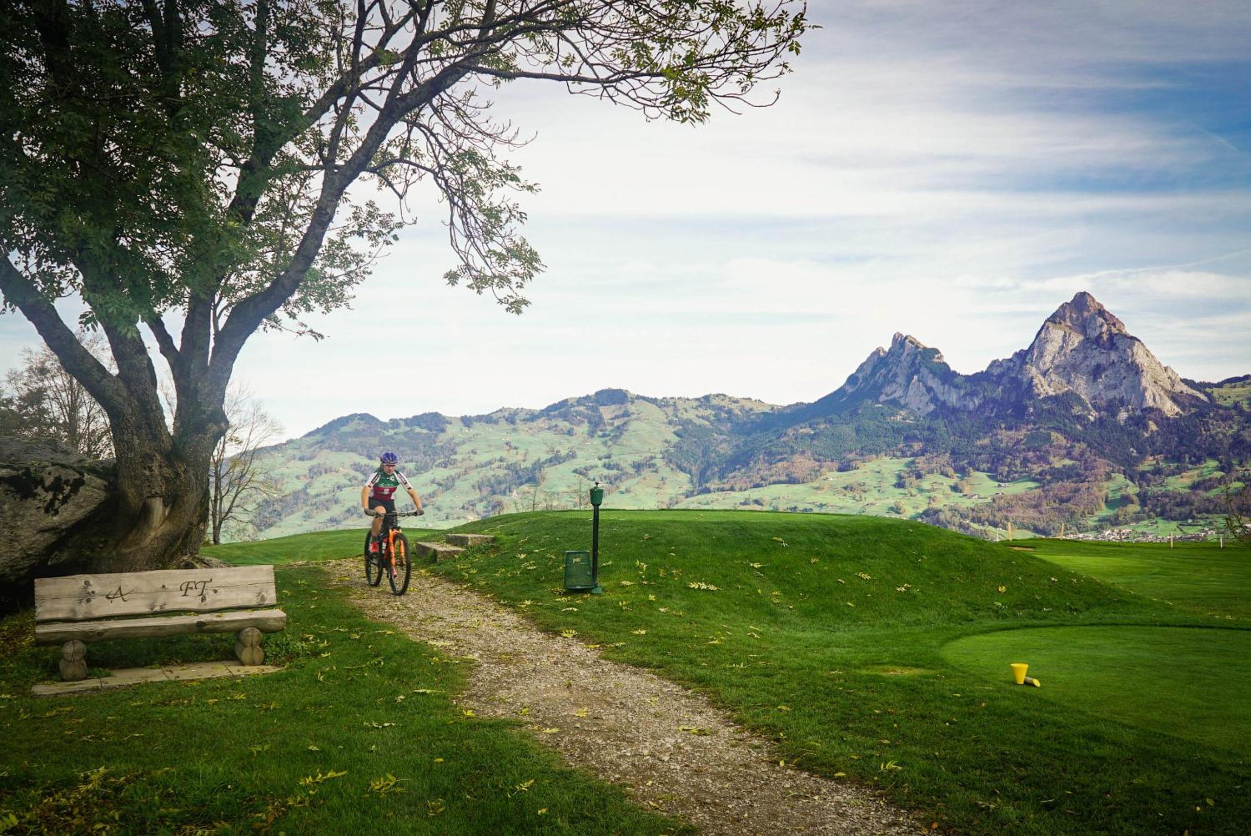 Lake Lucerne Paradise Apartment