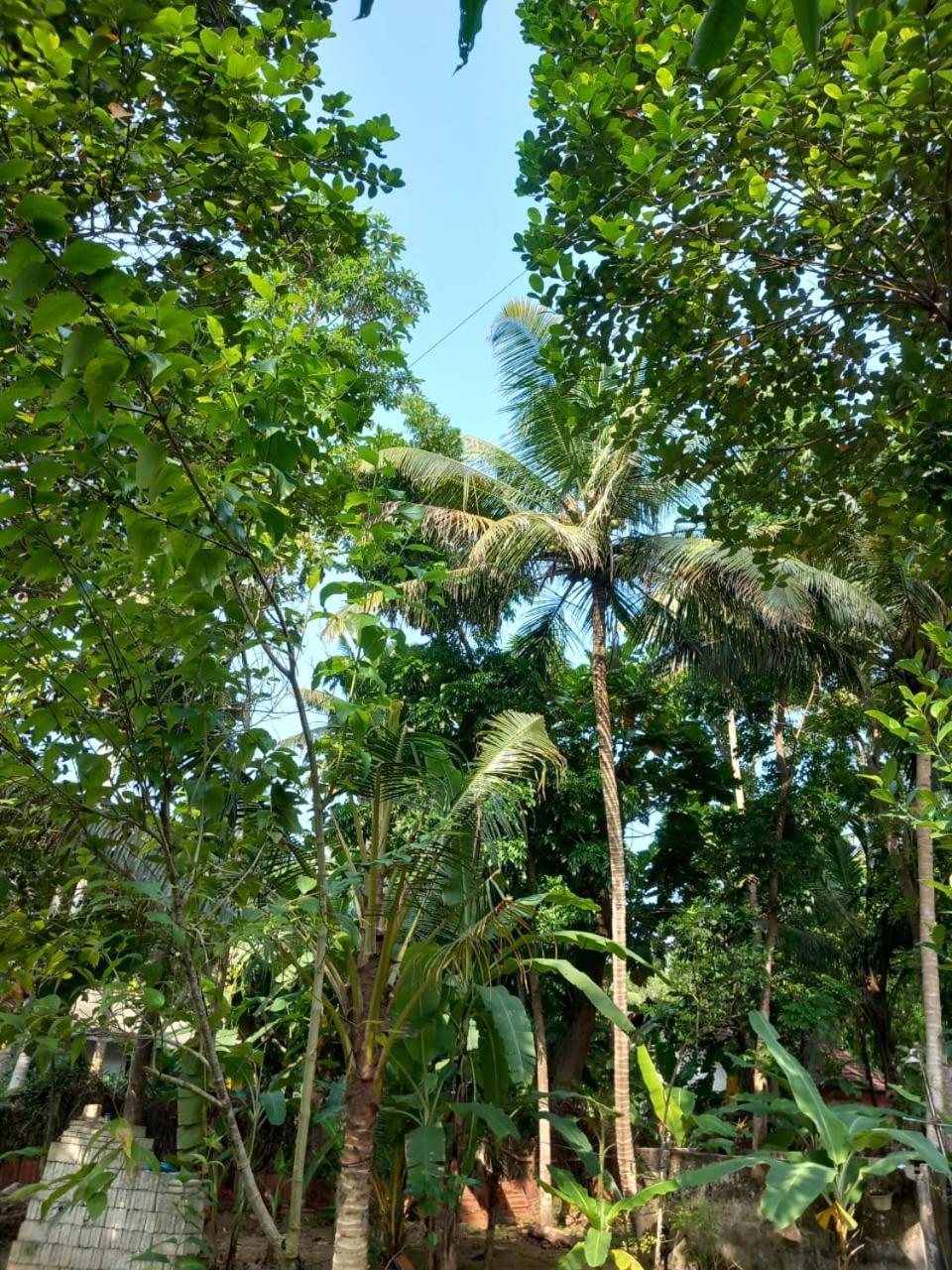 Yokel View Villa