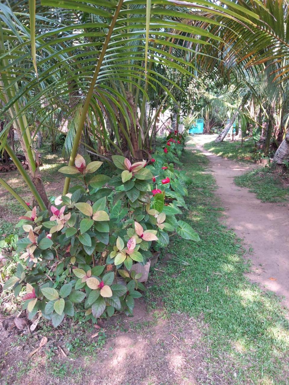 Yokel View Villa