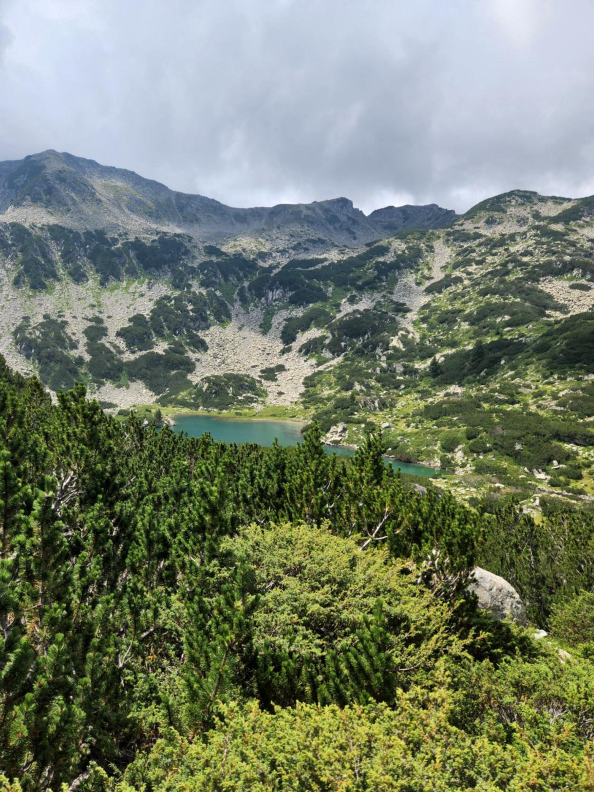 One Bedroom Apartment Pirin Lodge