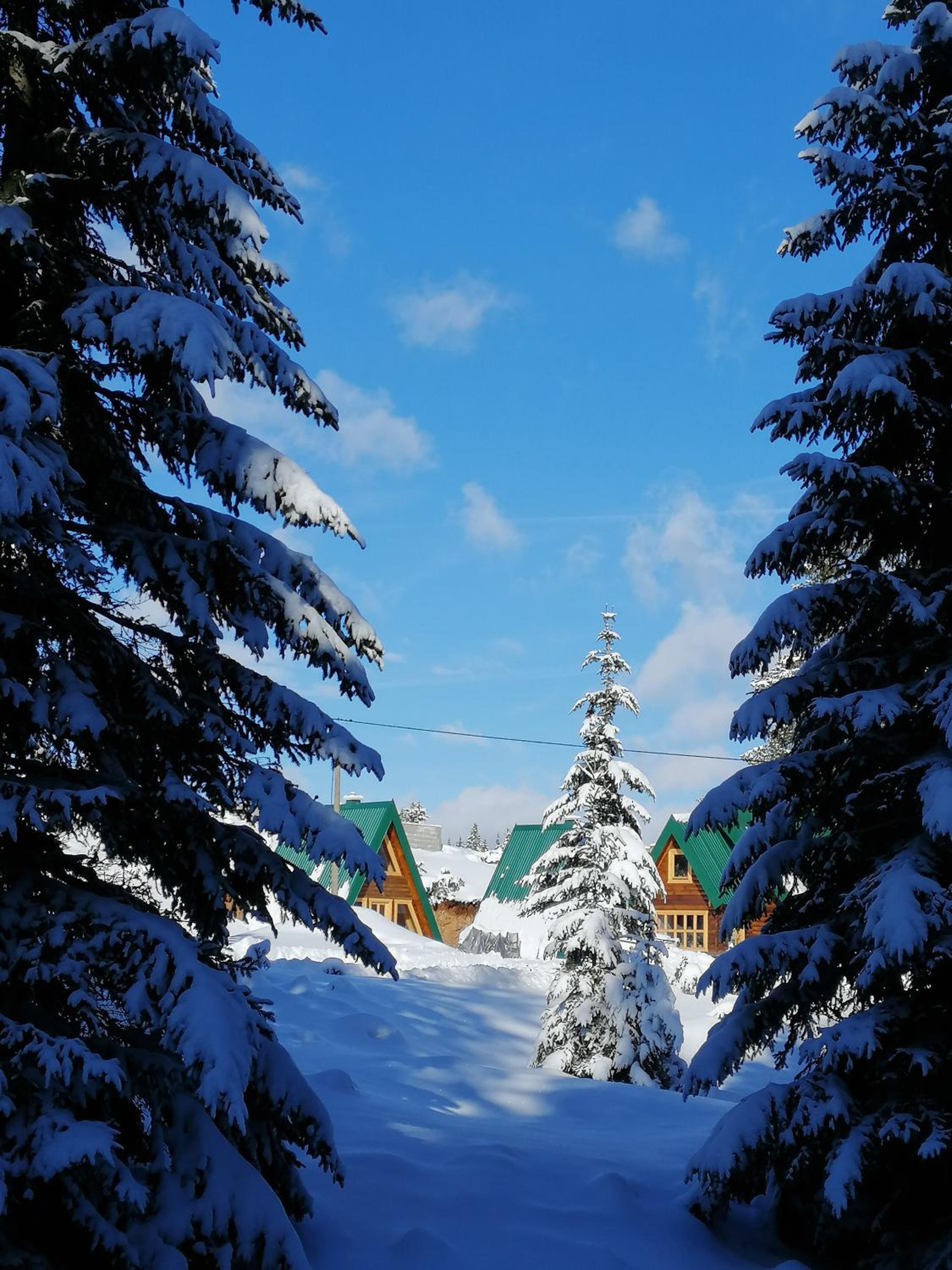 Photo 28