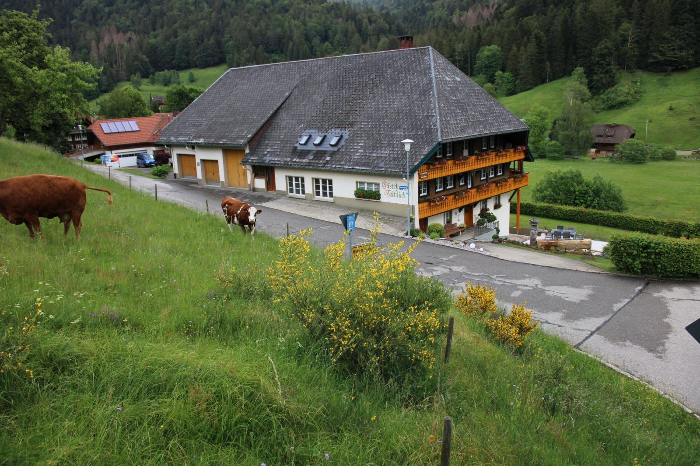 Photo 9