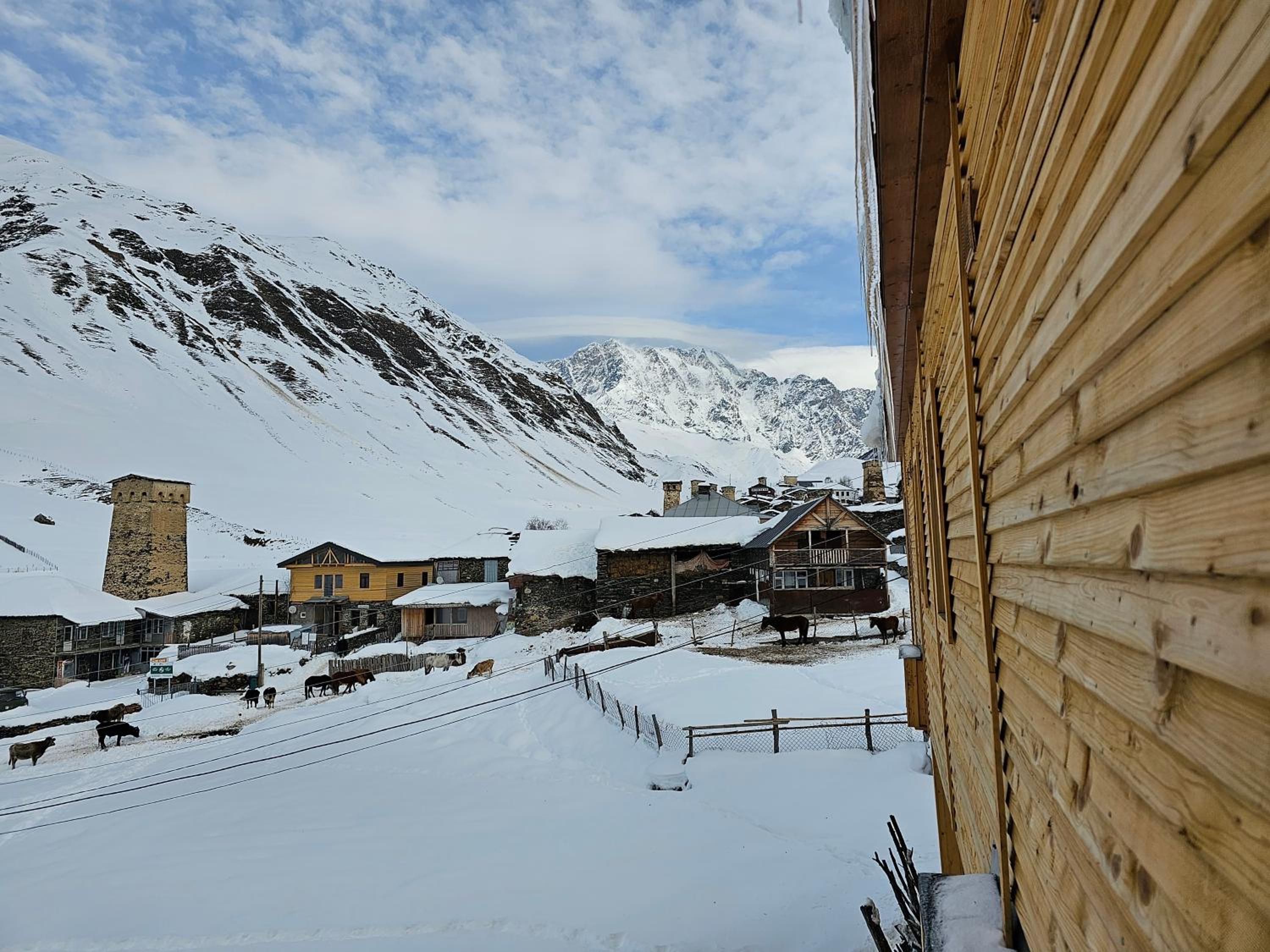 Guesthouse Ushguli Maspindzeli