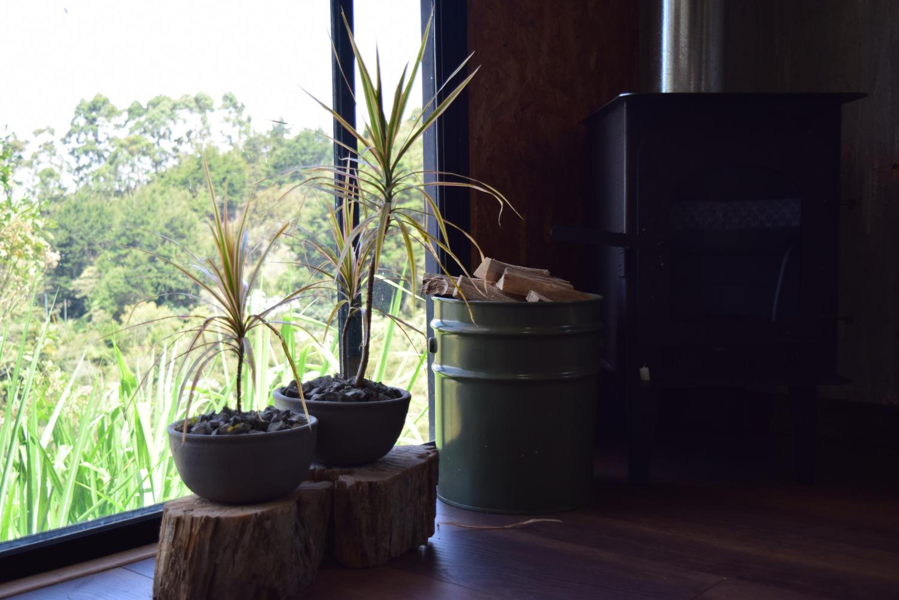 Glamping con jacuzzi cerca a Medellin