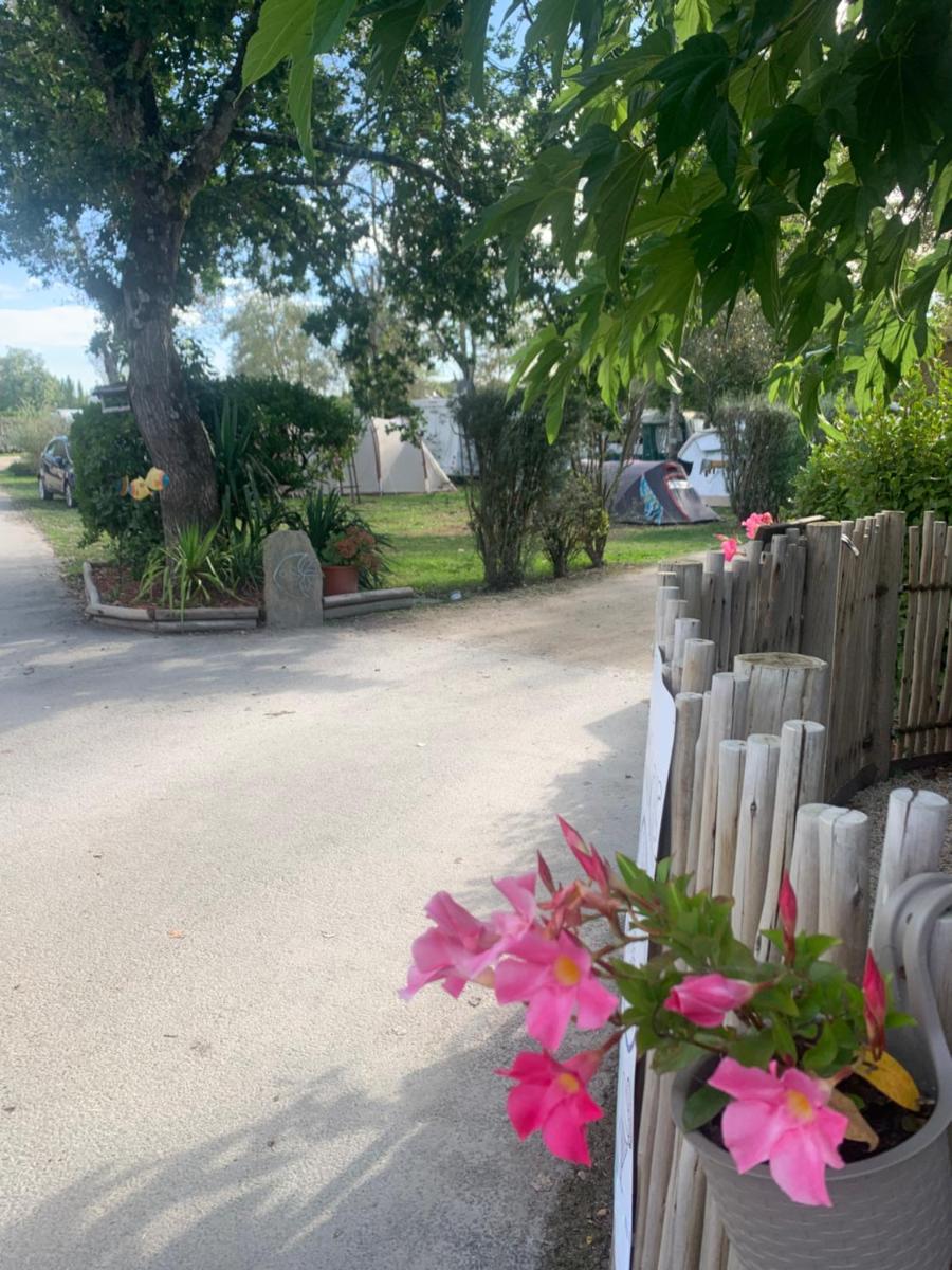 Camping Paradis le Moulin des Oies