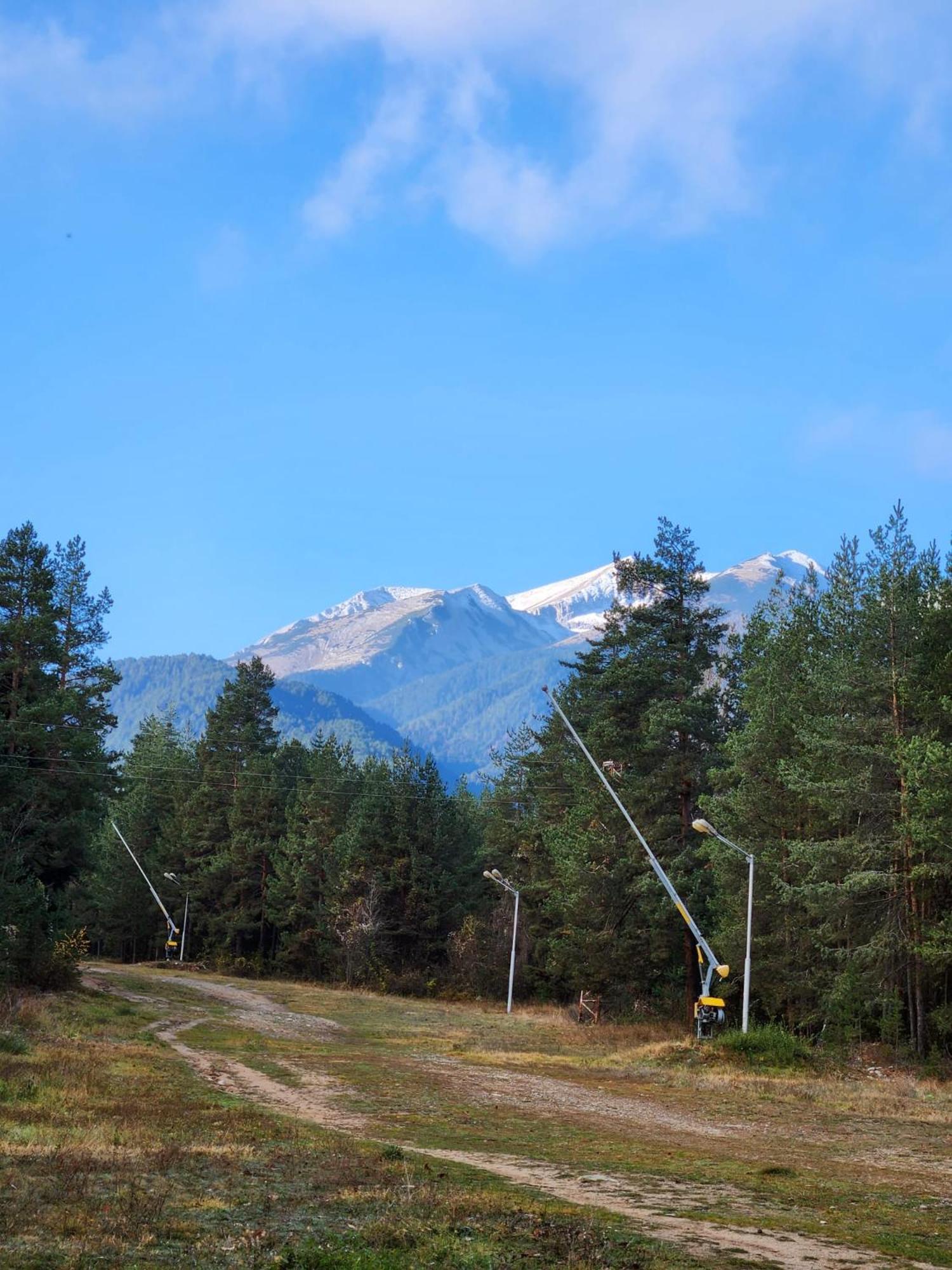 One Bedroom Apartment Pirin Lodge