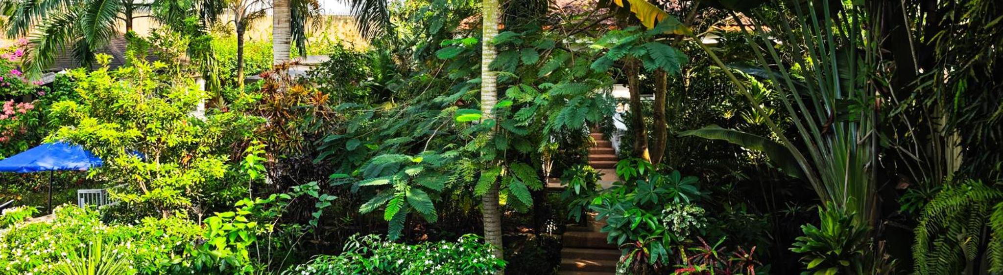 Villa Oasis Abidjan, photo 31