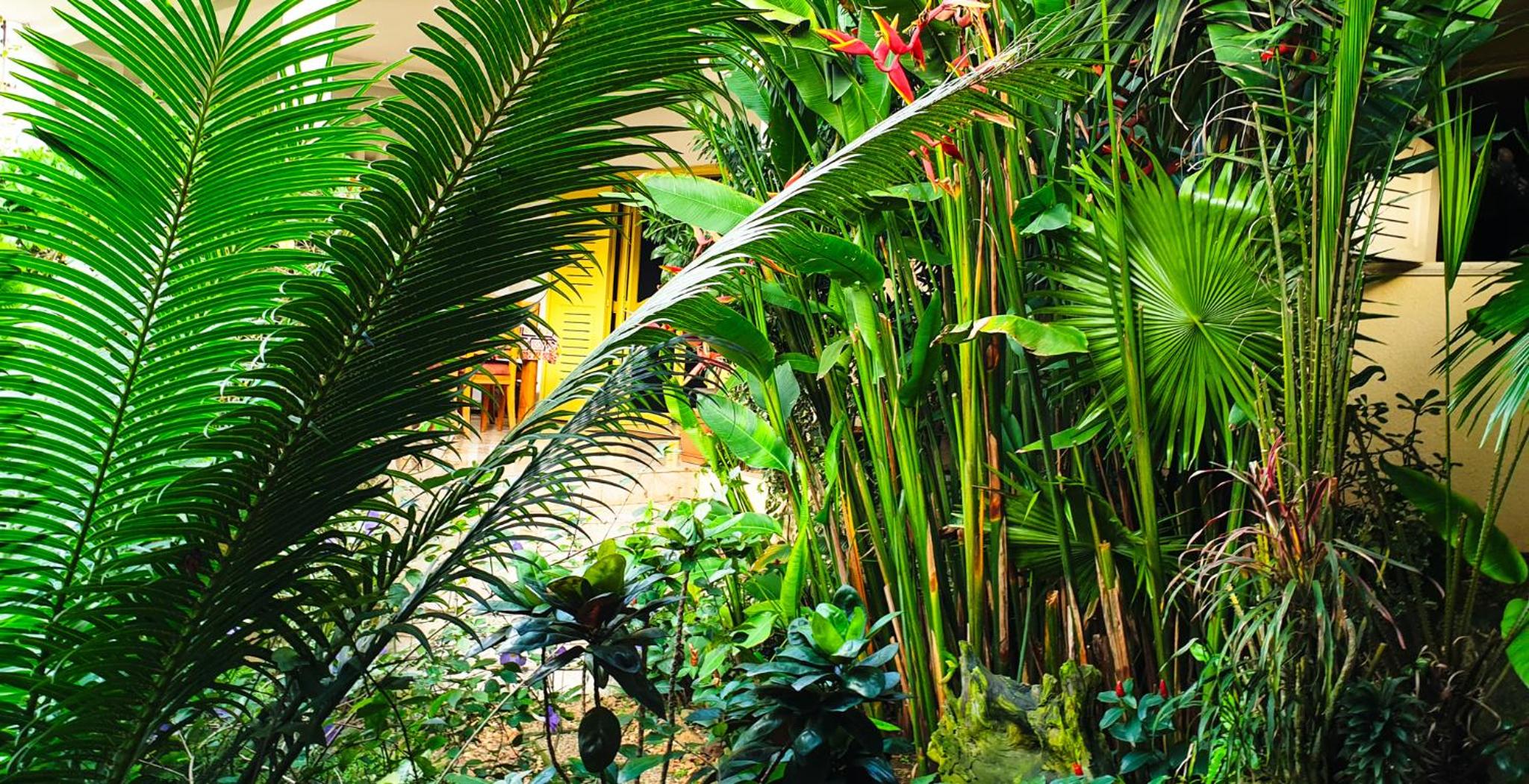 Villa Oasis Abidjan