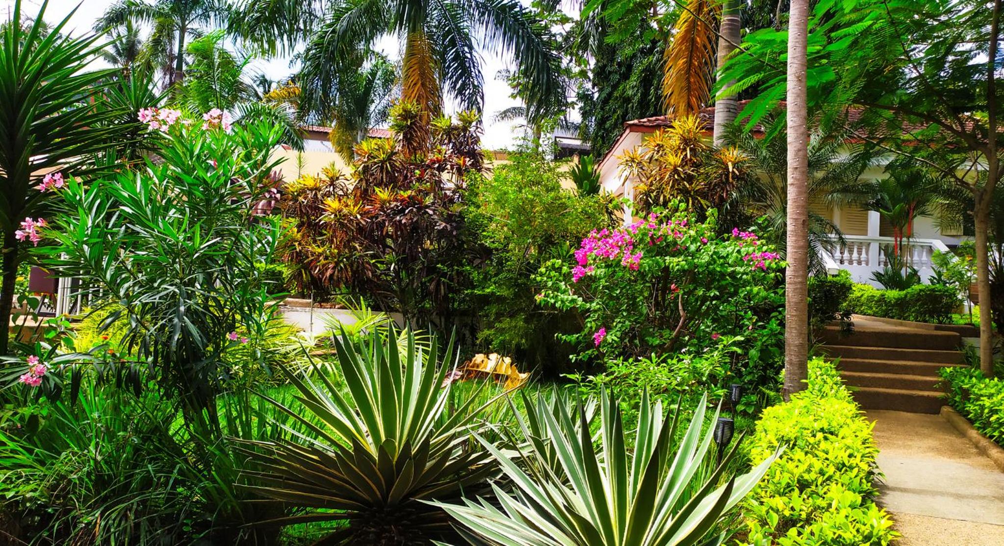 Villa Oasis Abidjan, photo 17