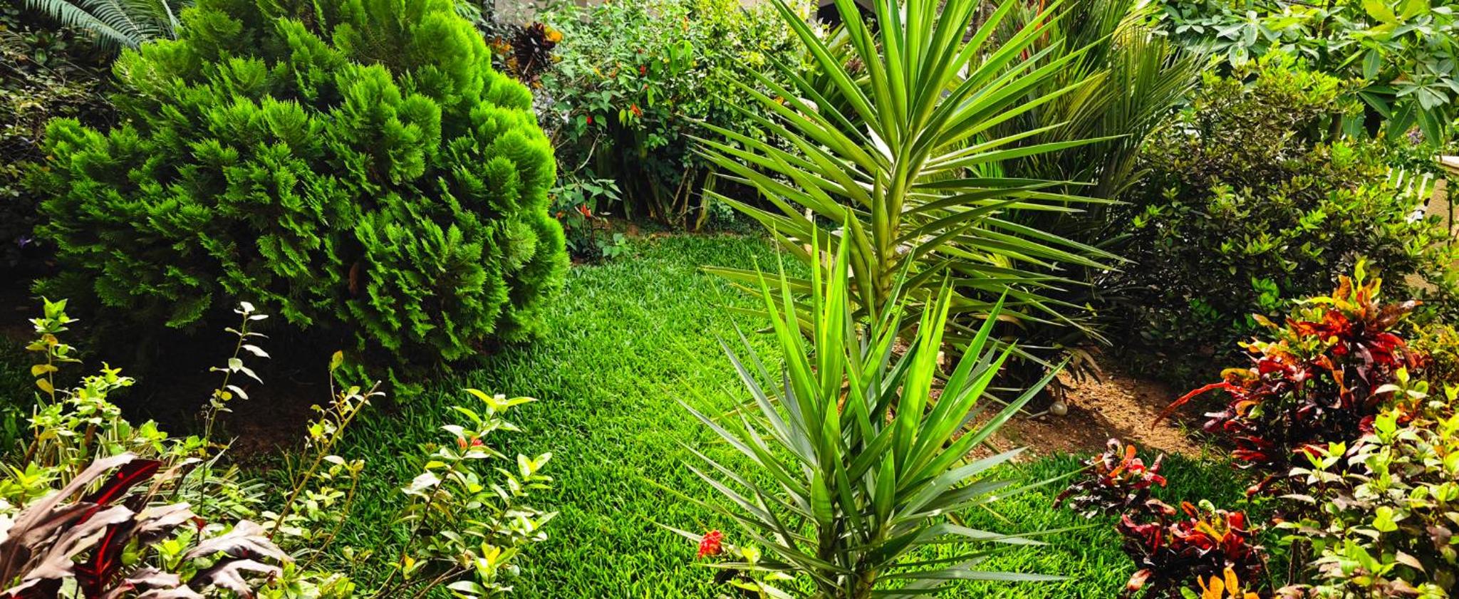 Villa Oasis Abidjan, photo 24